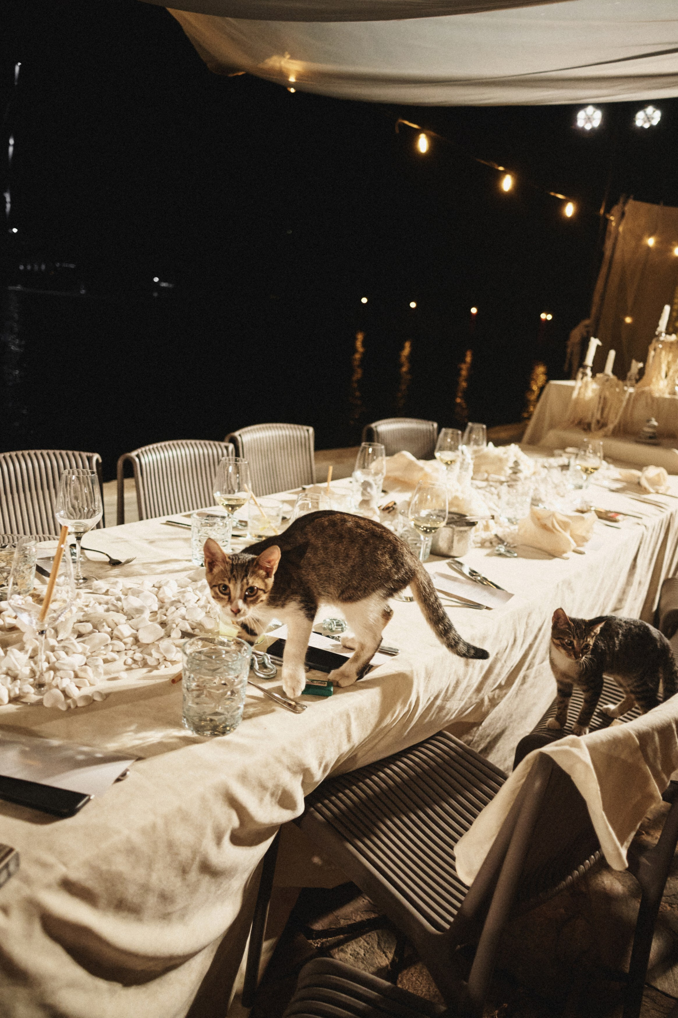 Wedding Regata. Sasha&Karina Photographers