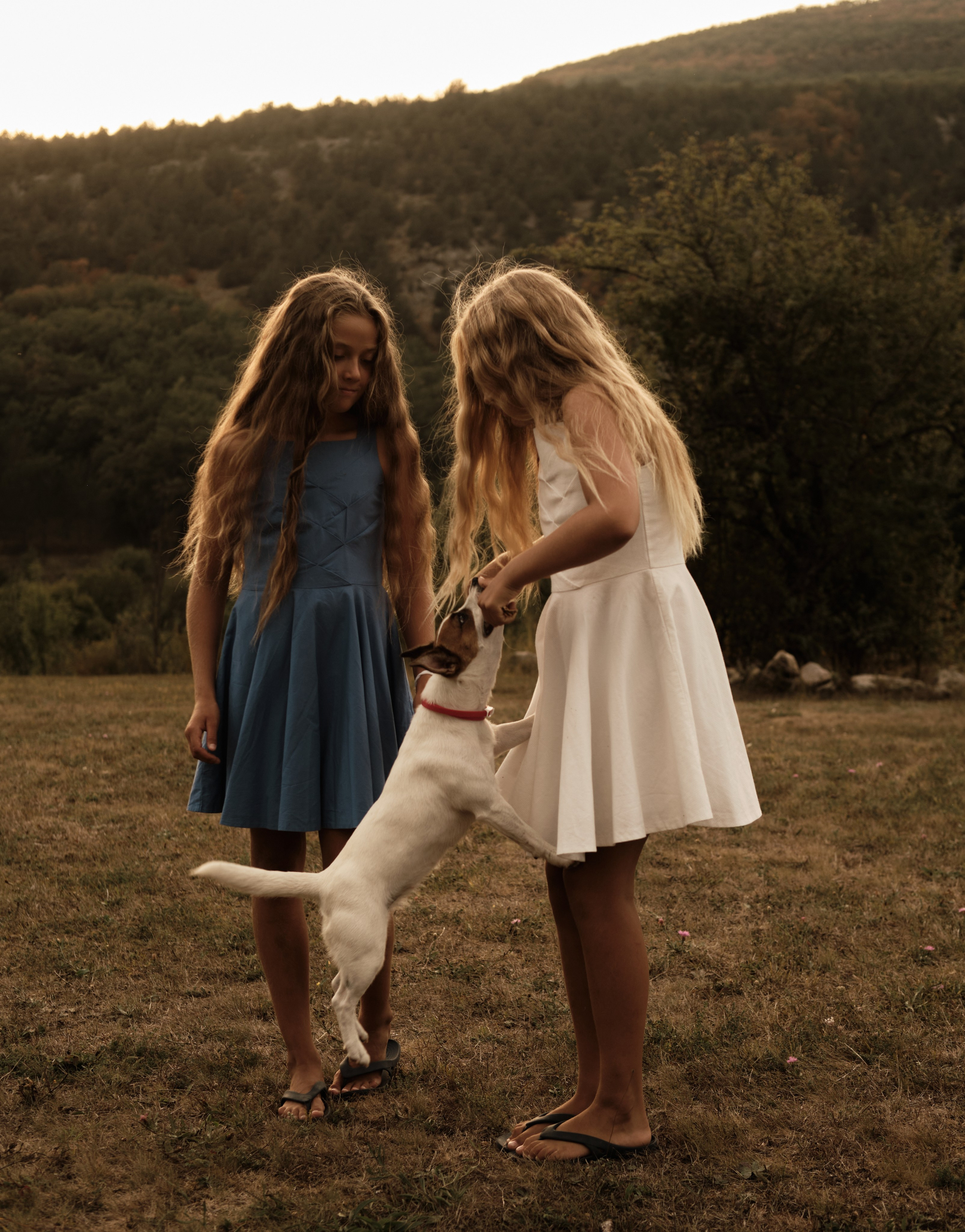 Маленькие сердца, большое тепло. Фотограф Карелина Полина