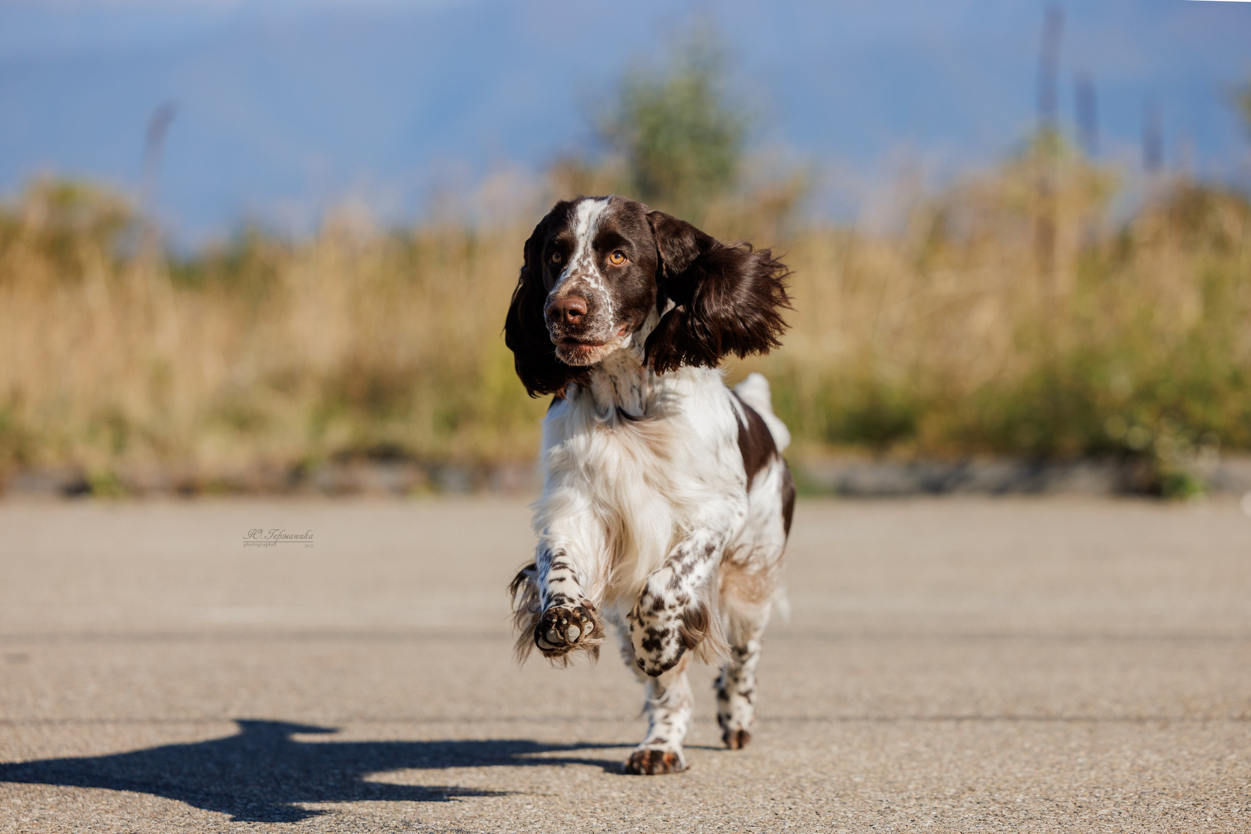 Телави 11-12.10.2025. Фотограф-анималист Юлия Германика