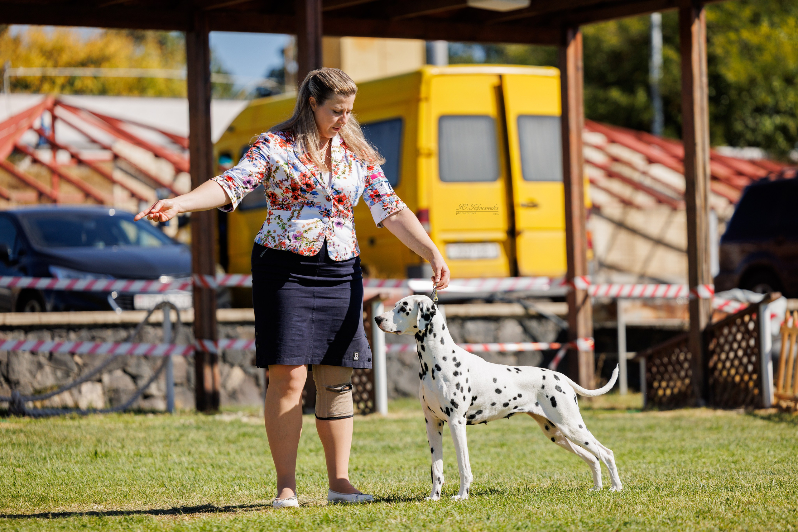 Ереван 14-16.10.2025. Фотограф-анималист Юлия Германика