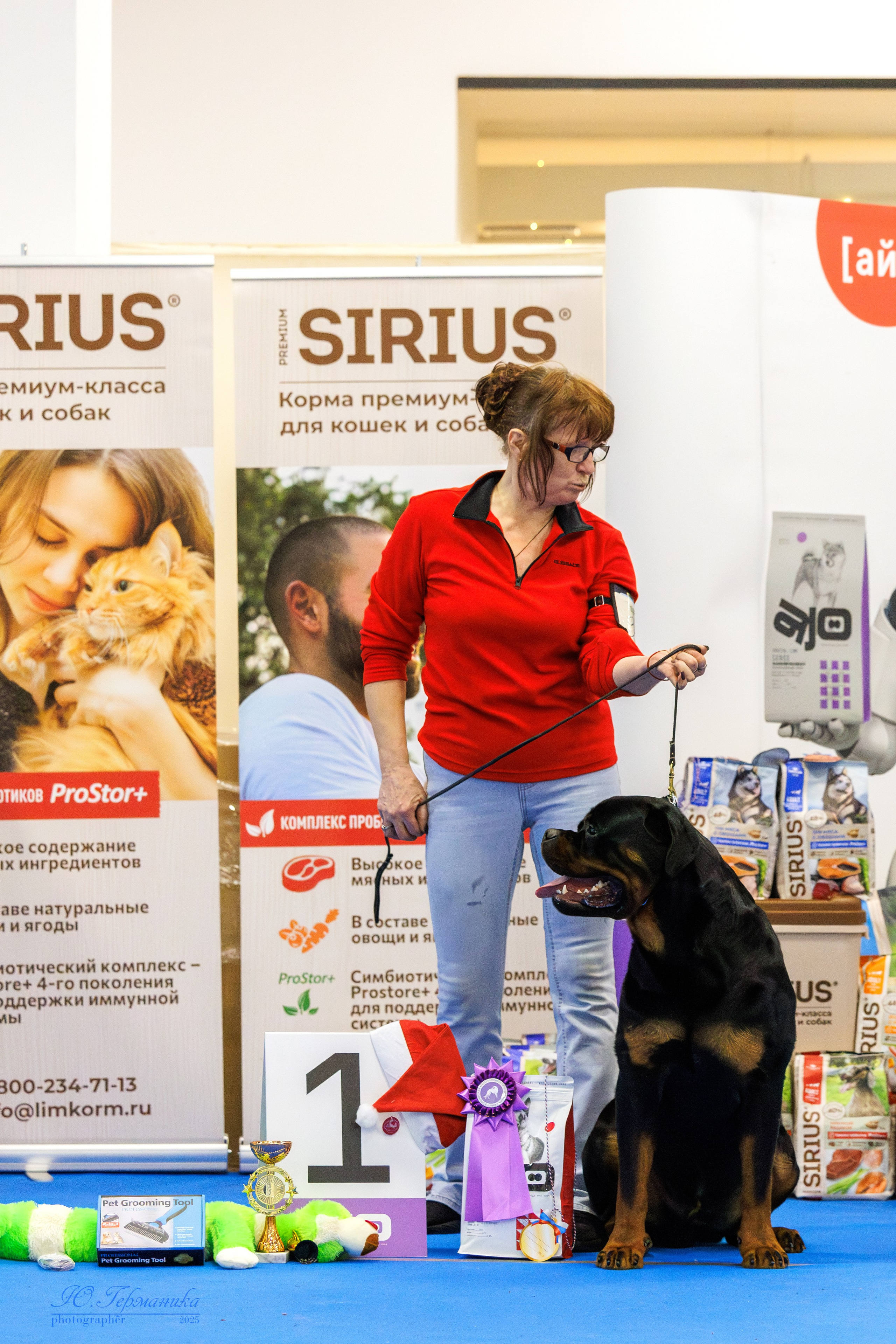 Питер ротвейлеры 18.01,Крокус 19.01.2025. Фотограф-анималист Юлия Германика