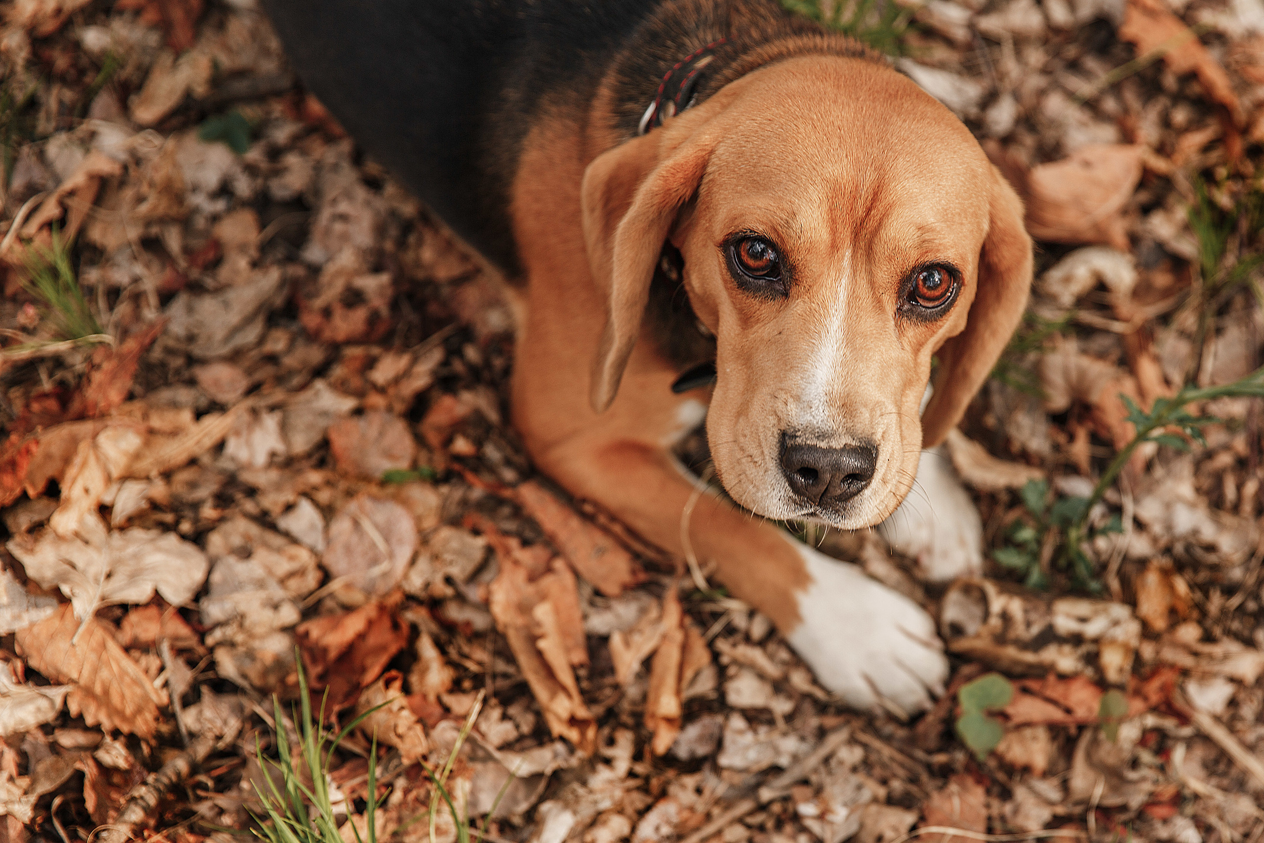 Творческая свадьба в стиле «Бохо». Свадебный и семейный фотограф  во Владивостоке Ольга Украинец