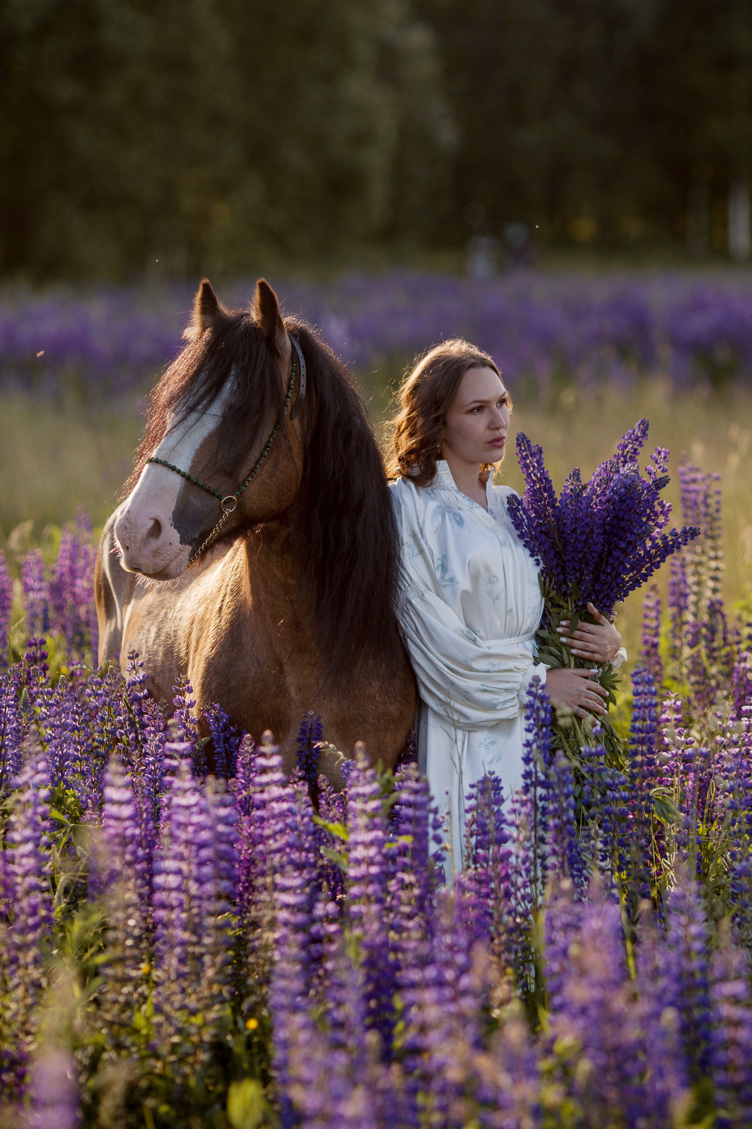 Фотосессия в люпинах с лошадью