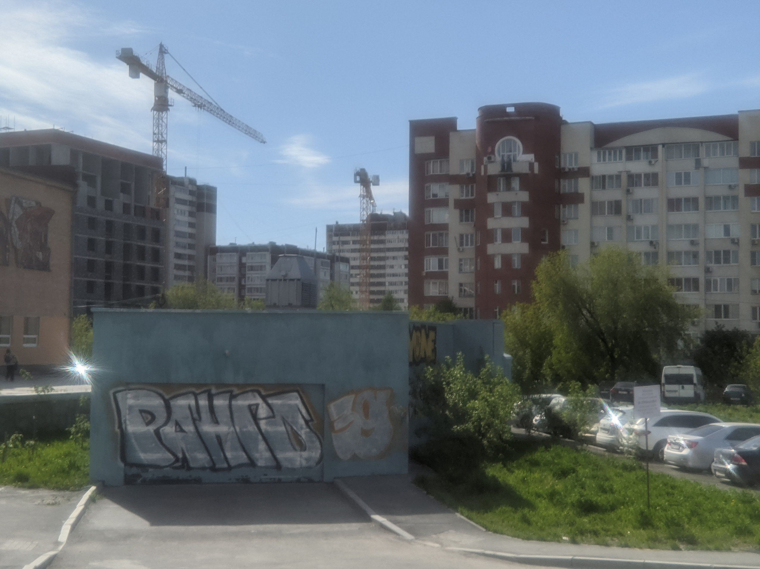 Солнечный. Фотограф в Санкт-Петербурге Березовский Даниил