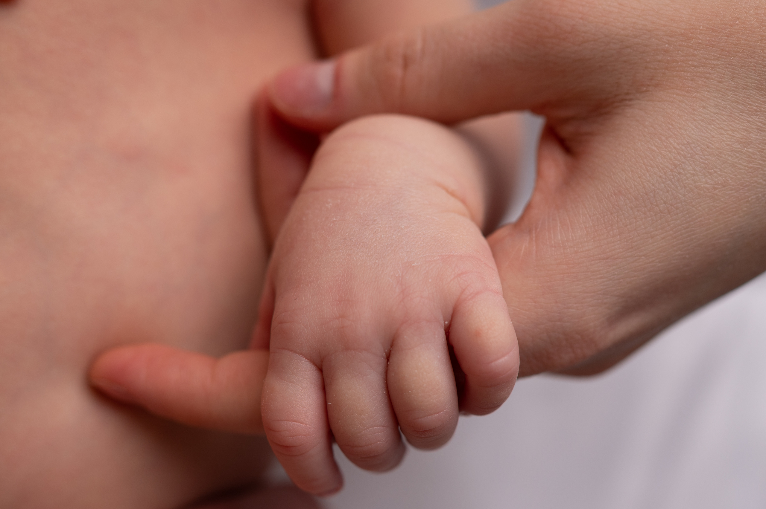 Детские фото спб