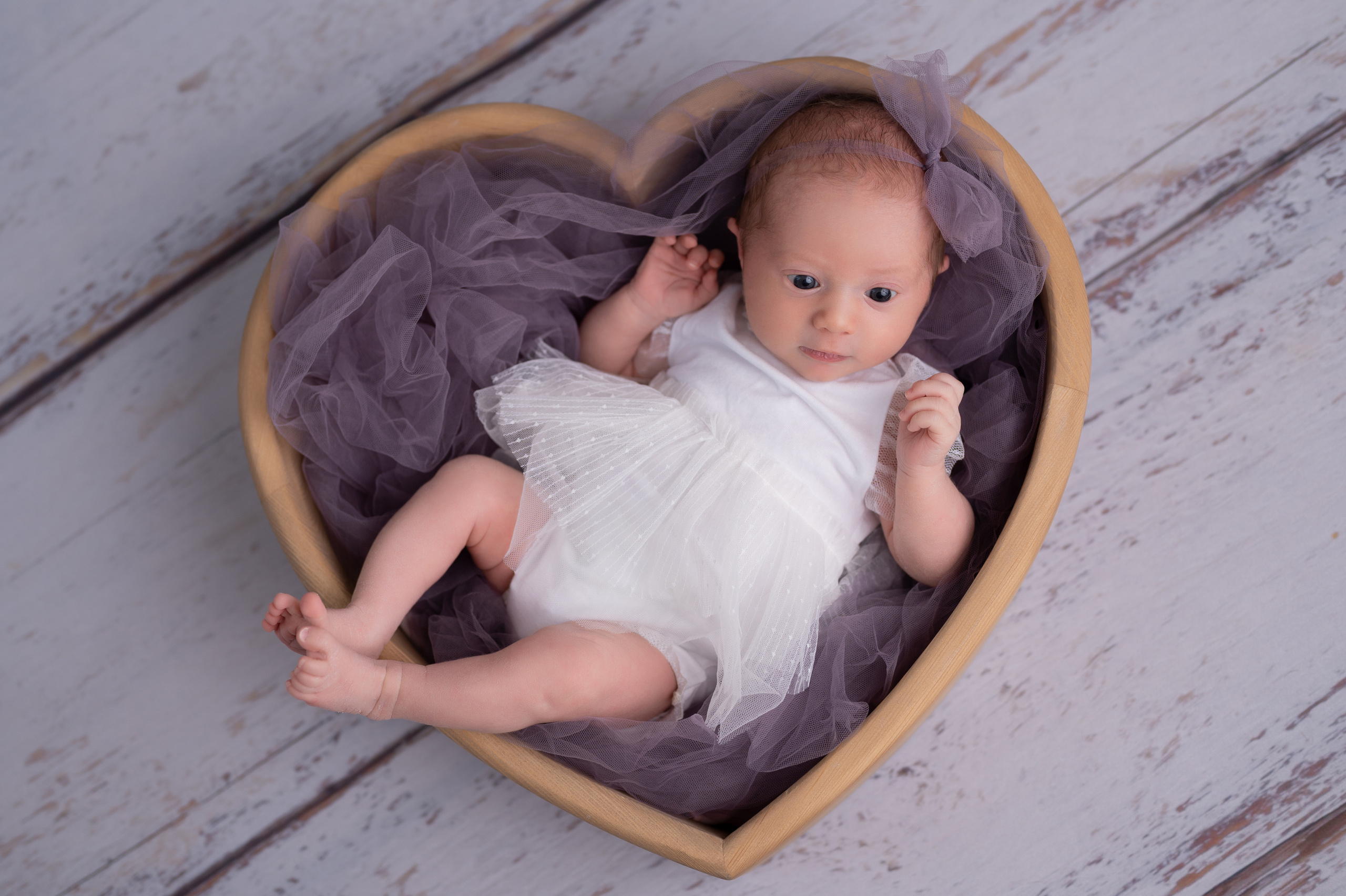 новорожденные мурино