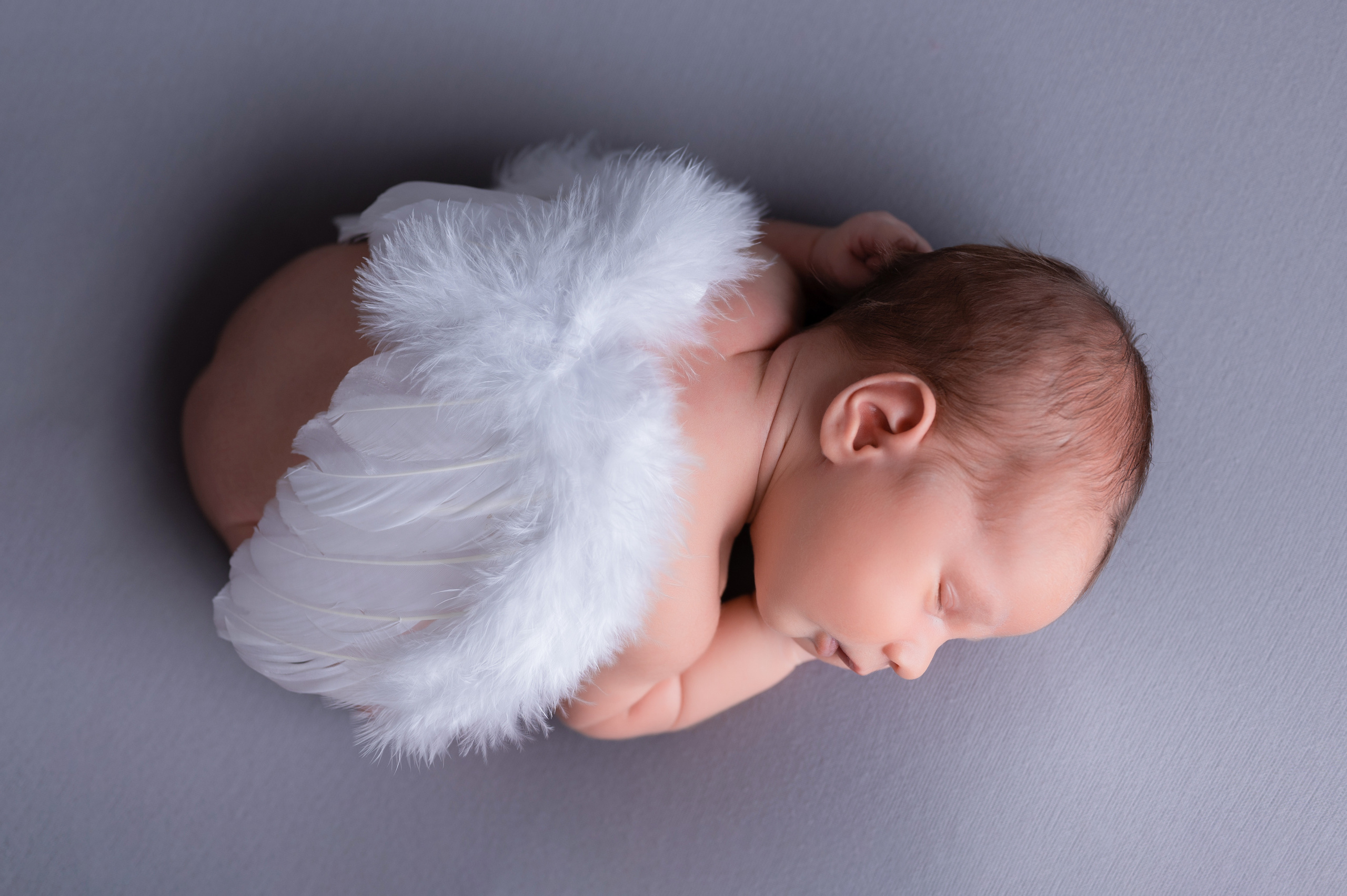 фотосессия новорожденного ребенка спб