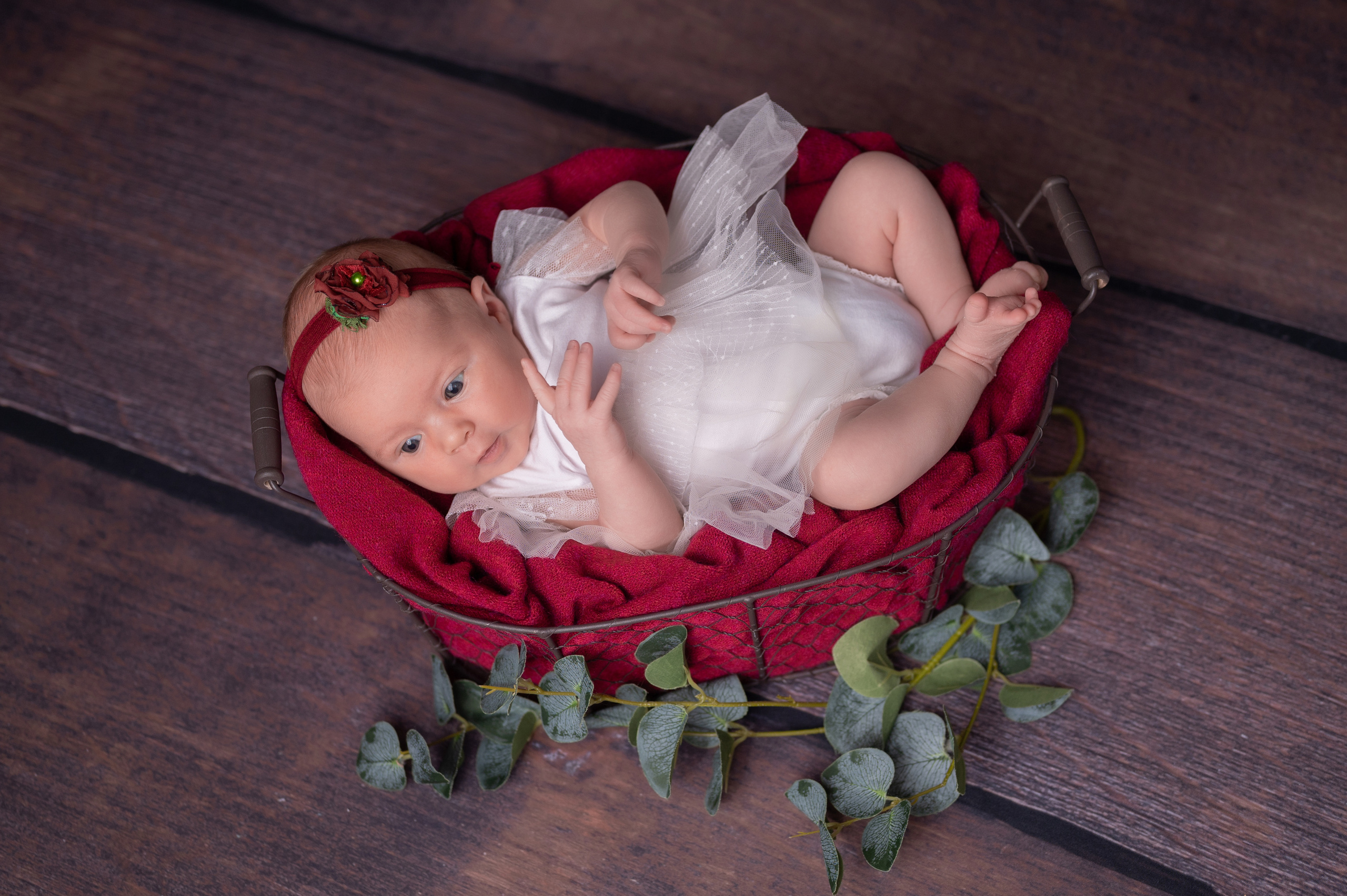 фото новорожденного дома