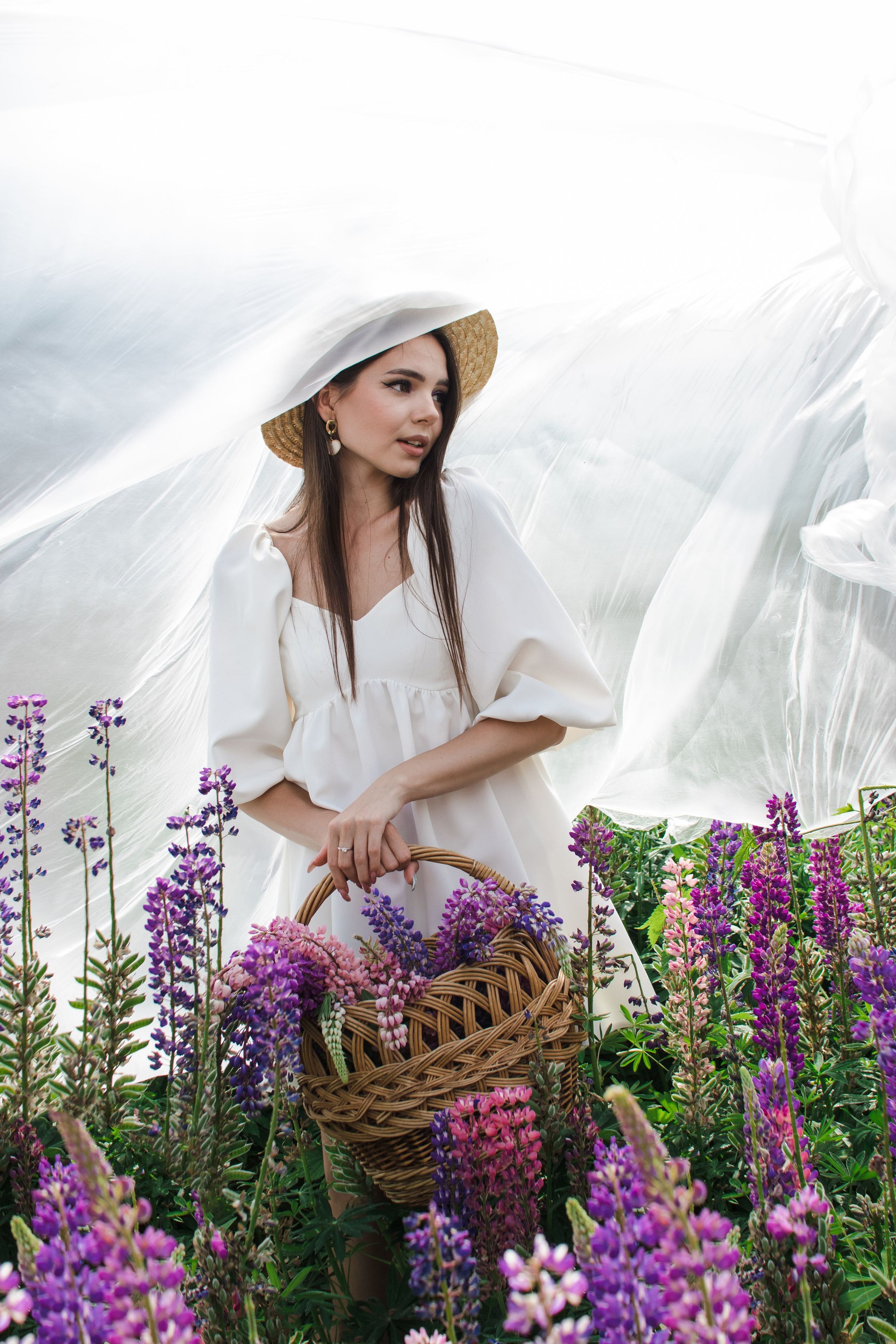 Девушках в люпинах