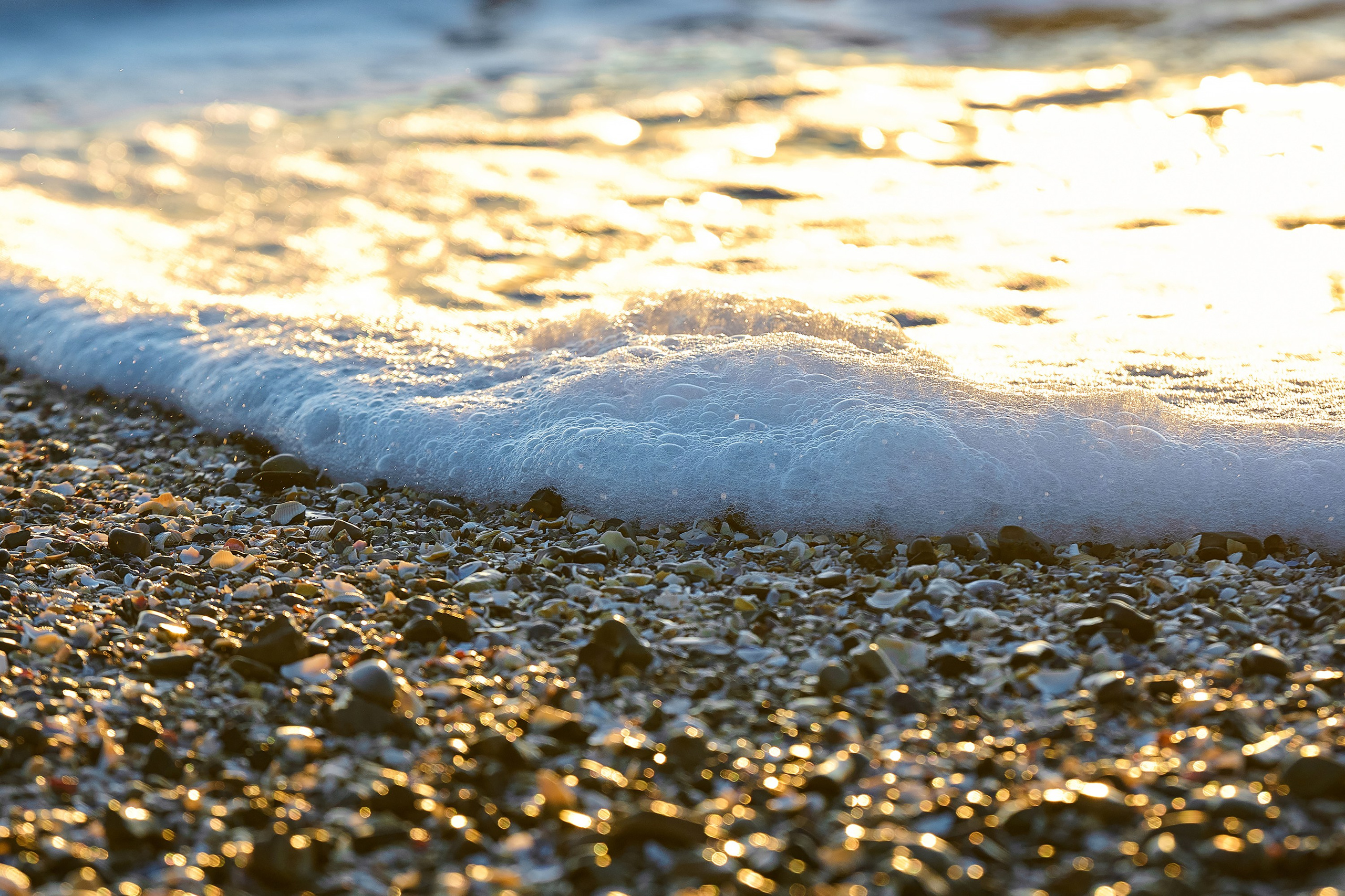 полоса прибоя, прибой, ракушка, пена, пена морская, закат