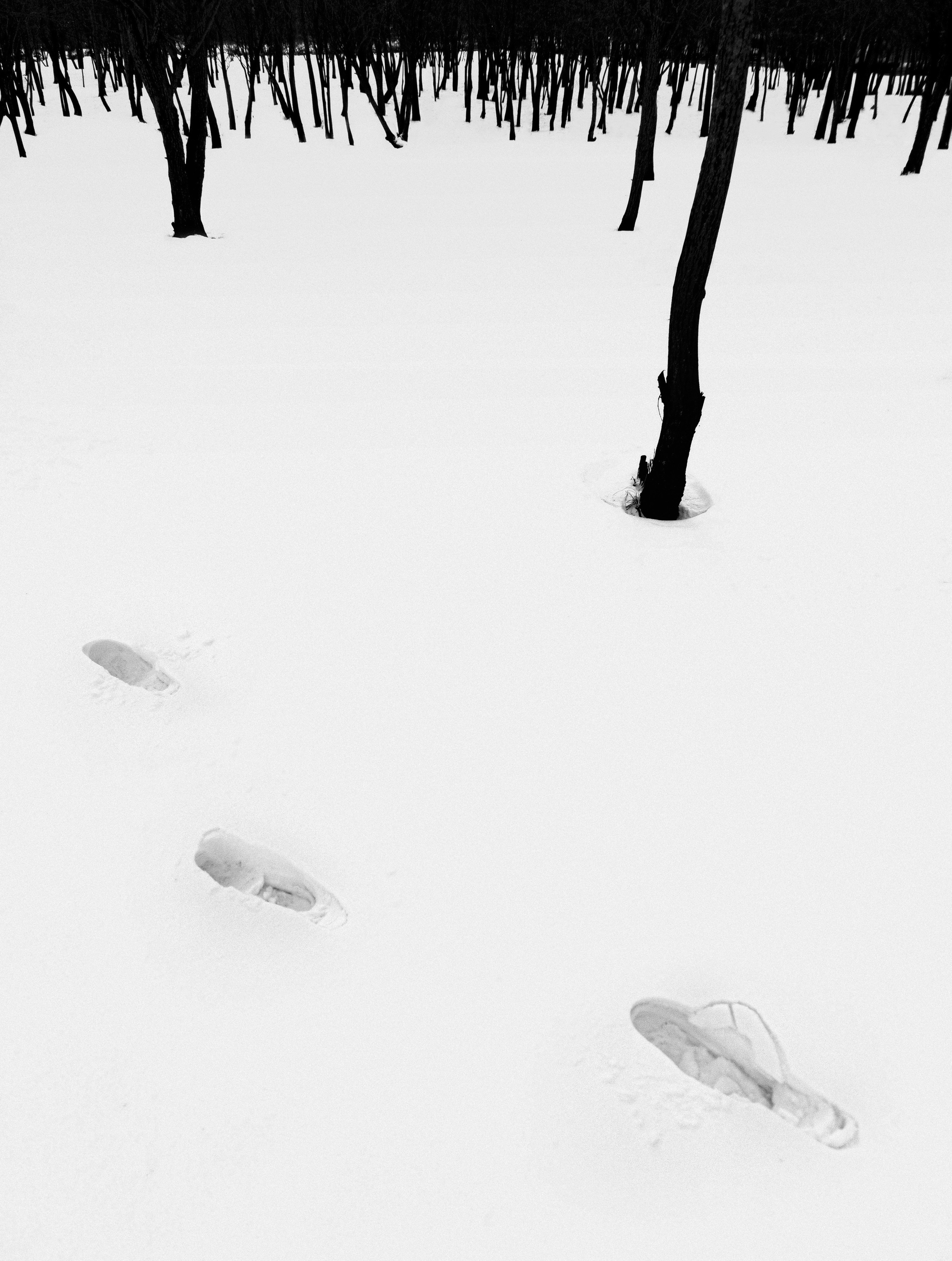 Точка черного. Сафонов Владислав, фотохудожник