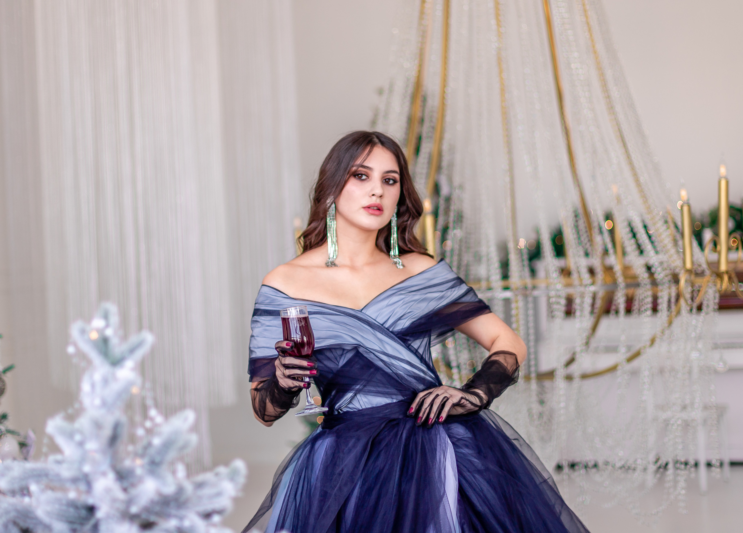 Фотосет Ренессанс Новогодний. Семейный и детский фотограф в Хабаровске Алевтина Проскурякова