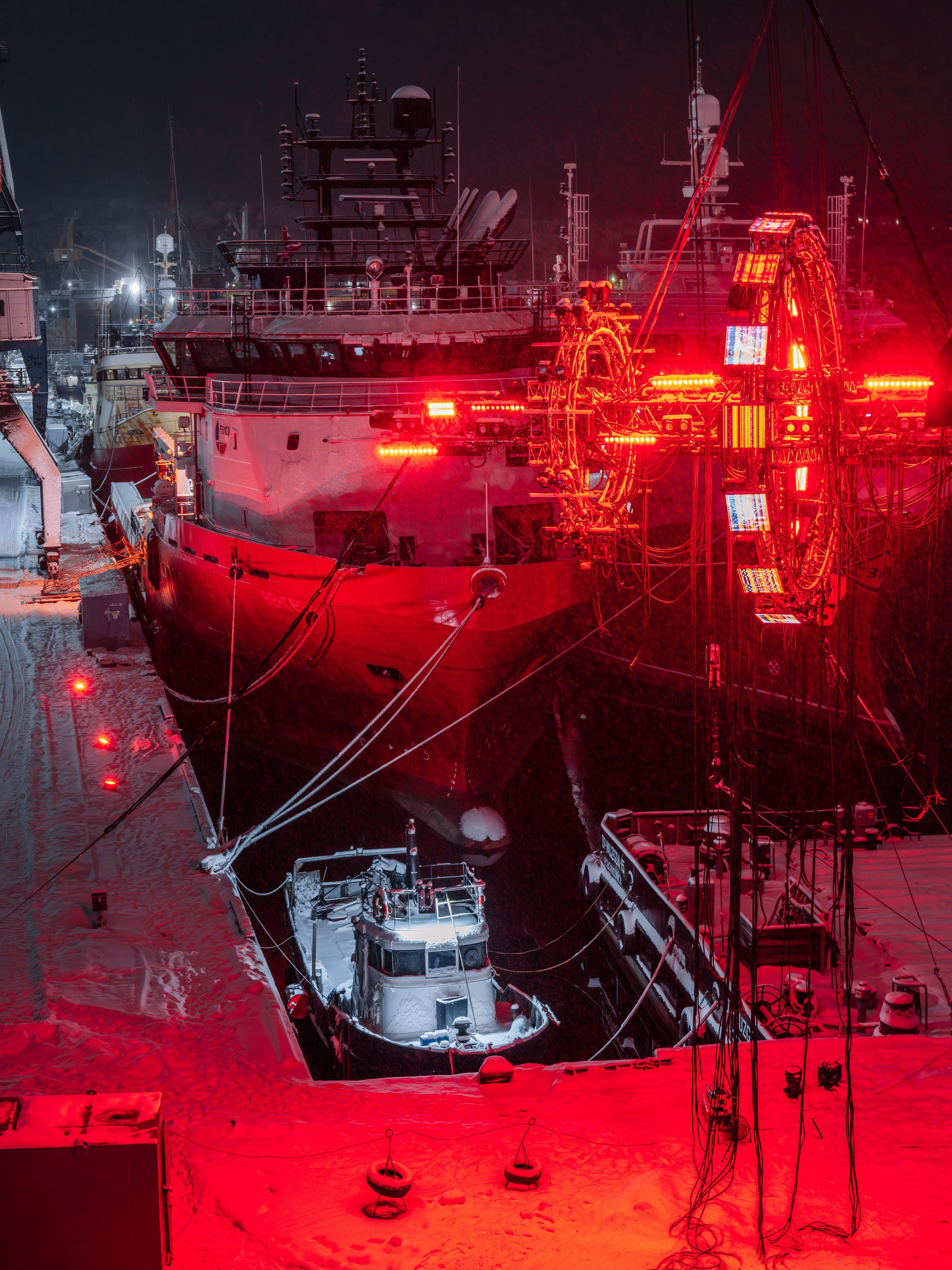 PANTERRA, POSTHUMAN ARTEFACT 003. @tomrus: Рустам Шагиморданов — фотограф