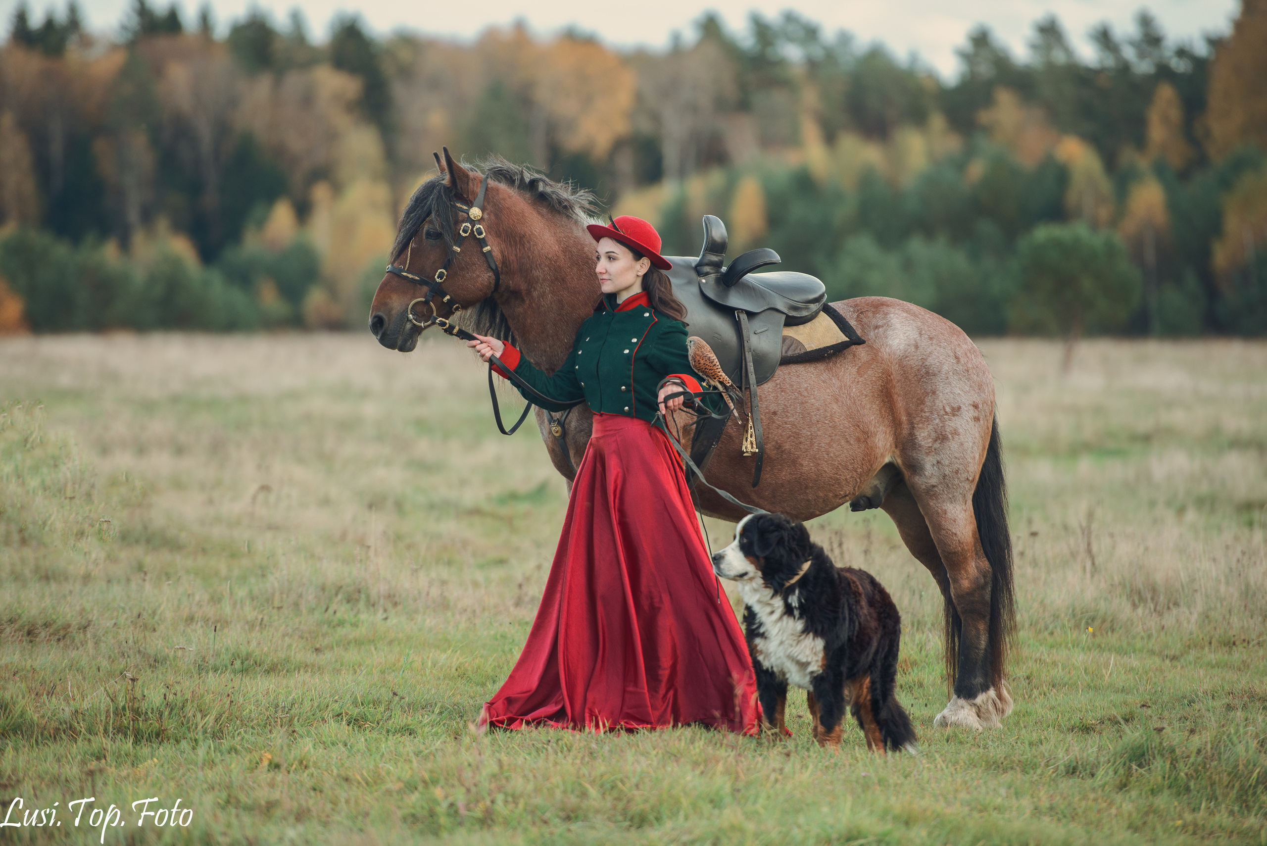 Конный и фотограф с животными в Твери Топталова Люся