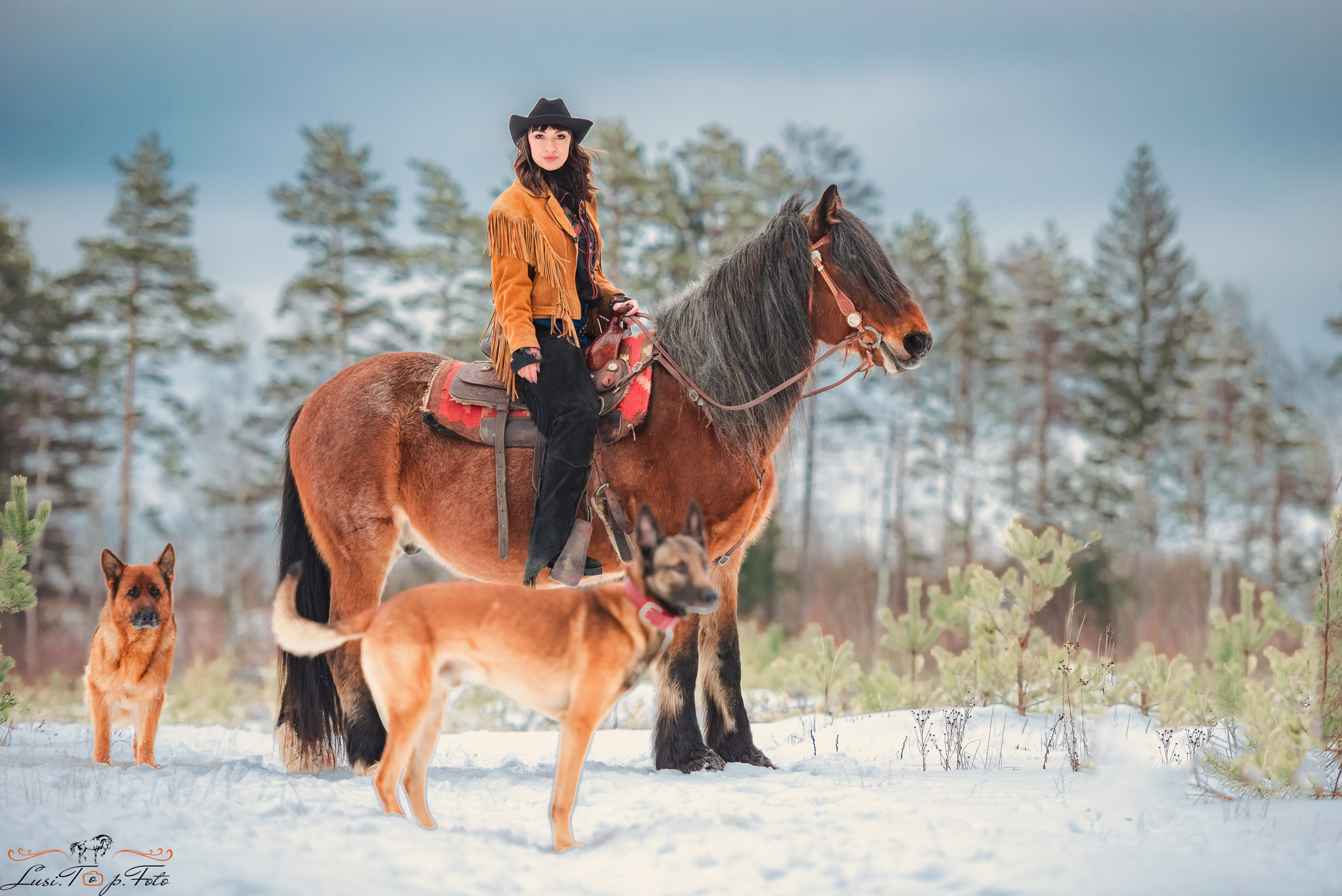 Фотосессии с лошадьми. Конный и фотограф с животными в Твери Топталова Люся