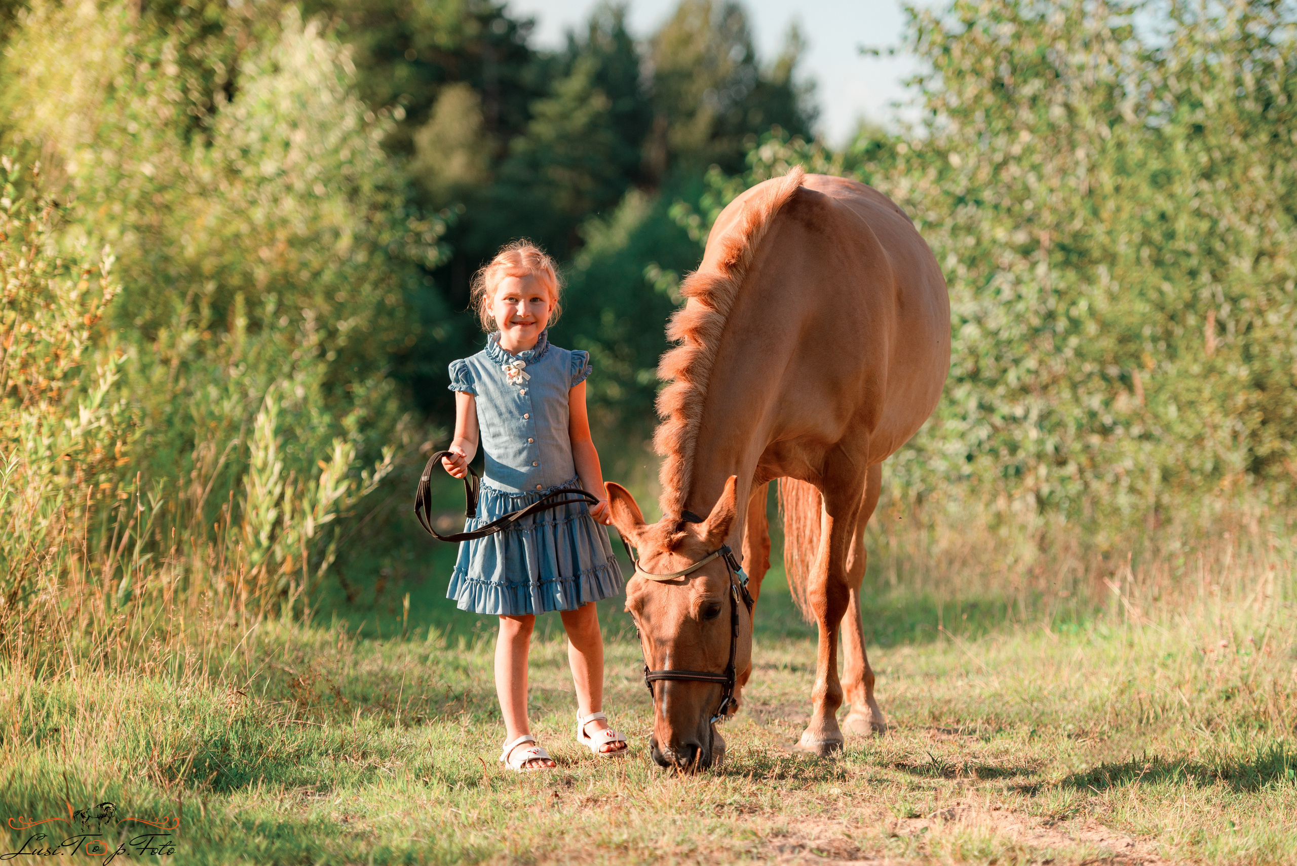 Конный и фотограф с животными в Твери Топталова Люся