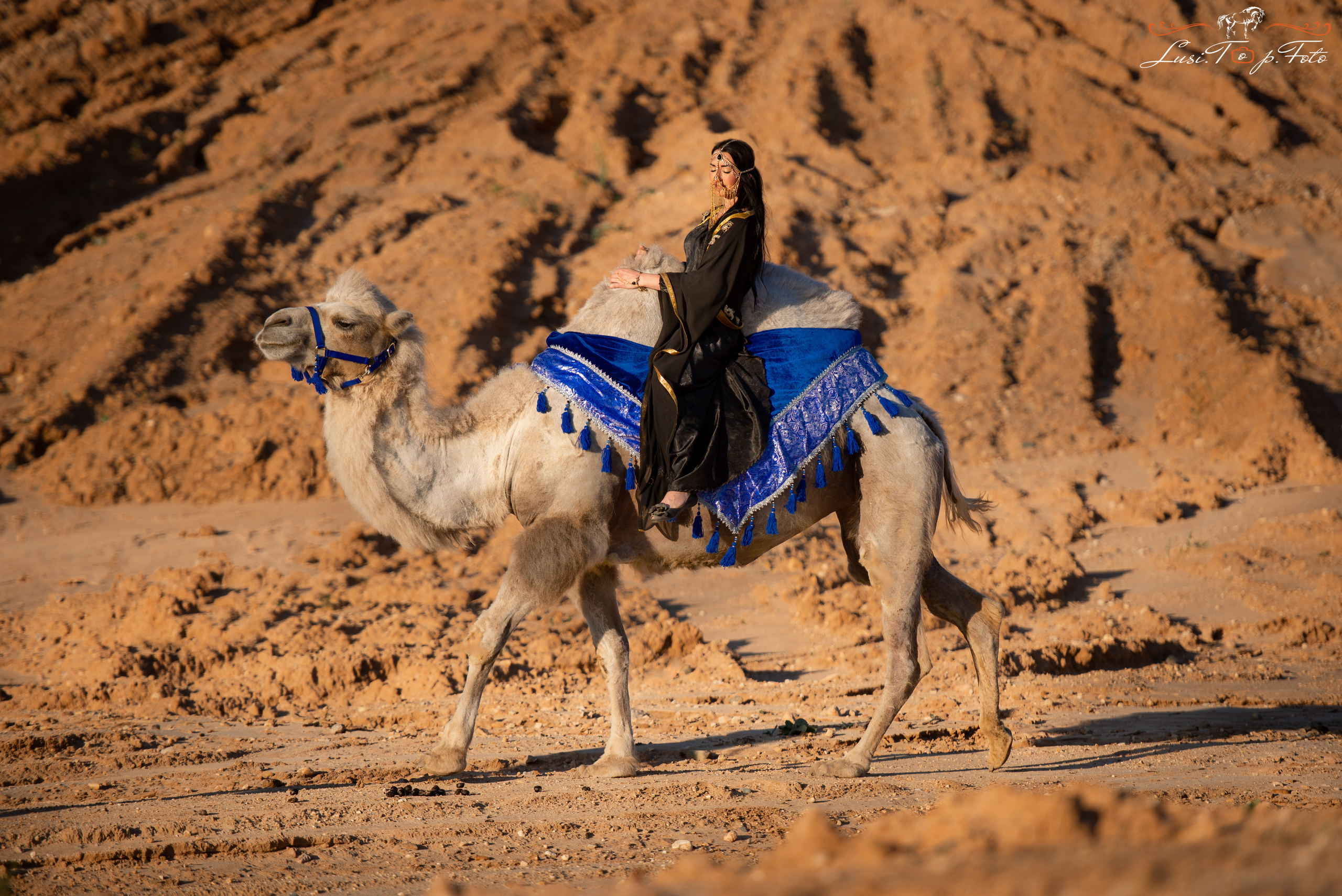 Фотосессии с НЕ лошадьми :). Конный и фотограф с животными в Твери Топталова Люся
