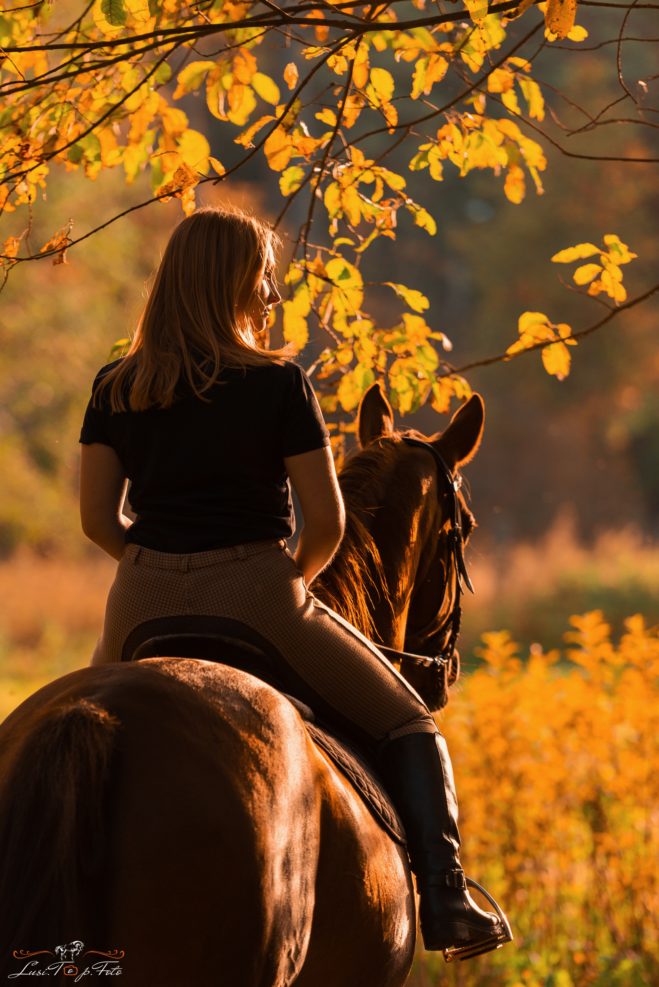 Фотосессии с лошадьми. Конный и фотограф с животными в Твери Топталова Люся