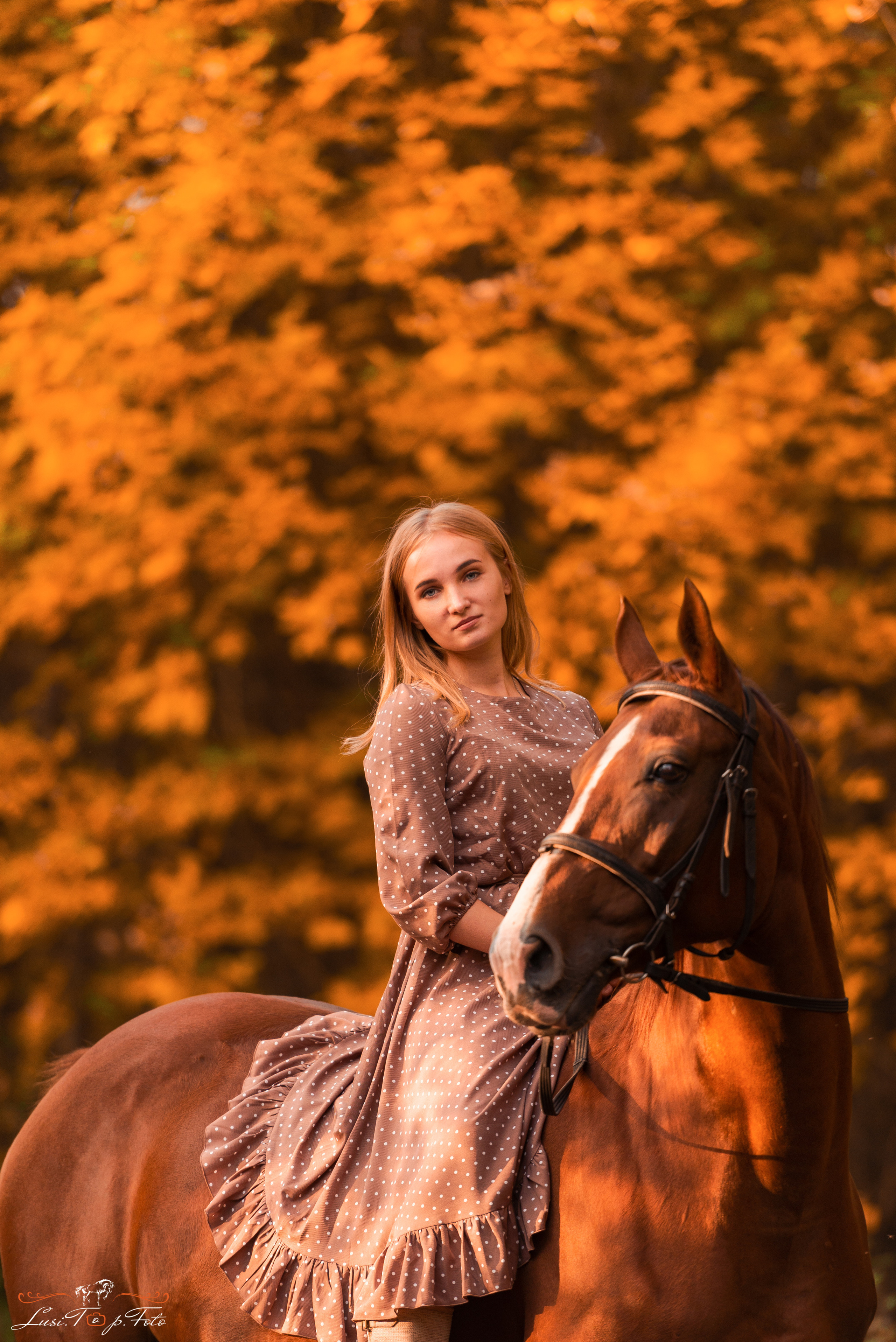 Конный и фотограф с животными в Твери Топталова Люся