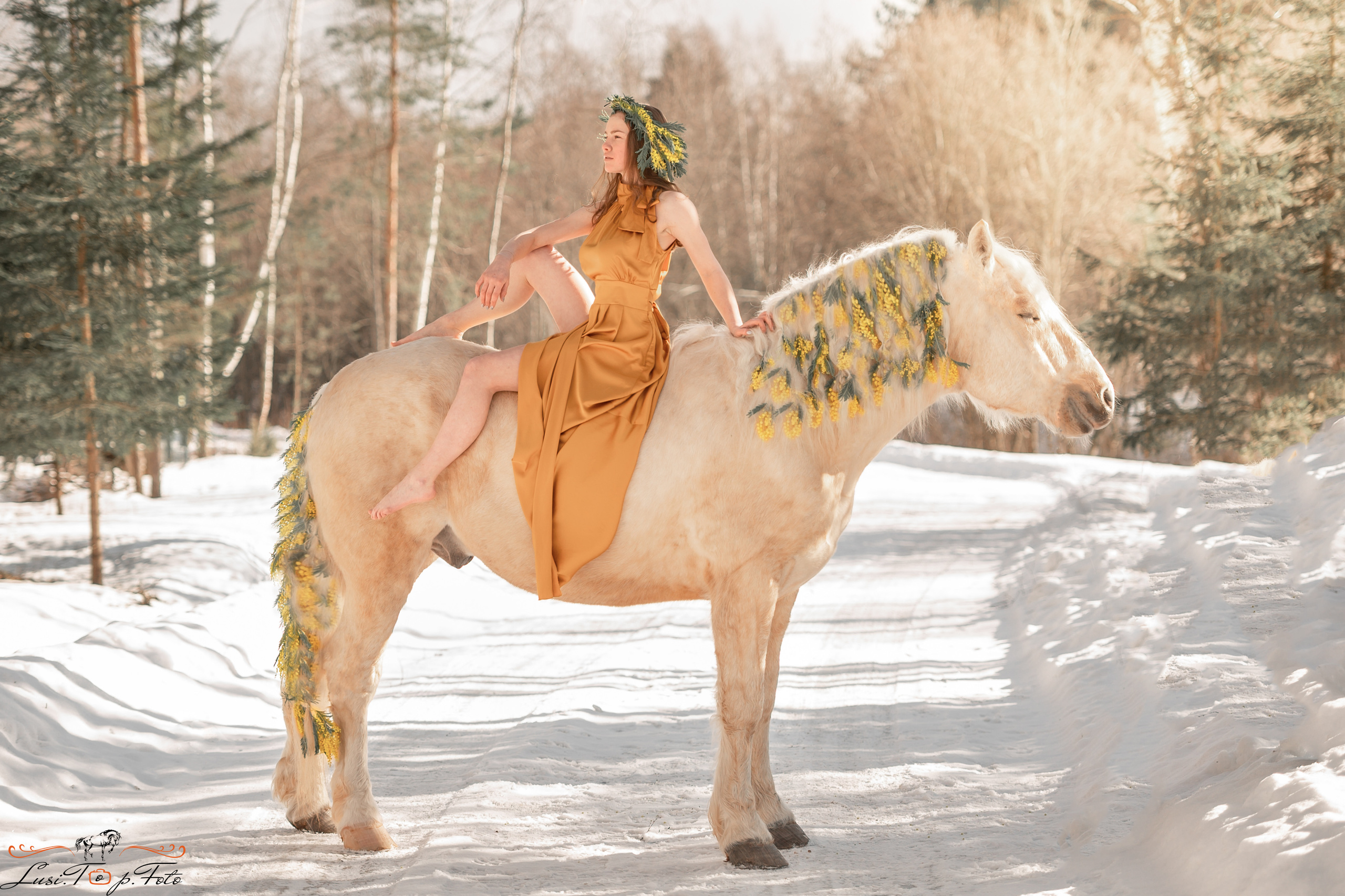 Конный и фотограф с животными в Твери Топталова Люся