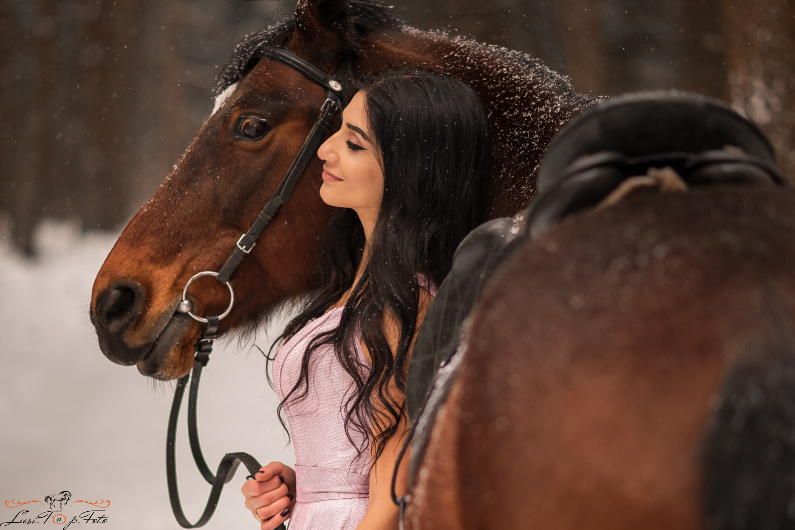 Фотосессии с лошадьми. Конный и фотограф с животными в Твери Топталова Люся