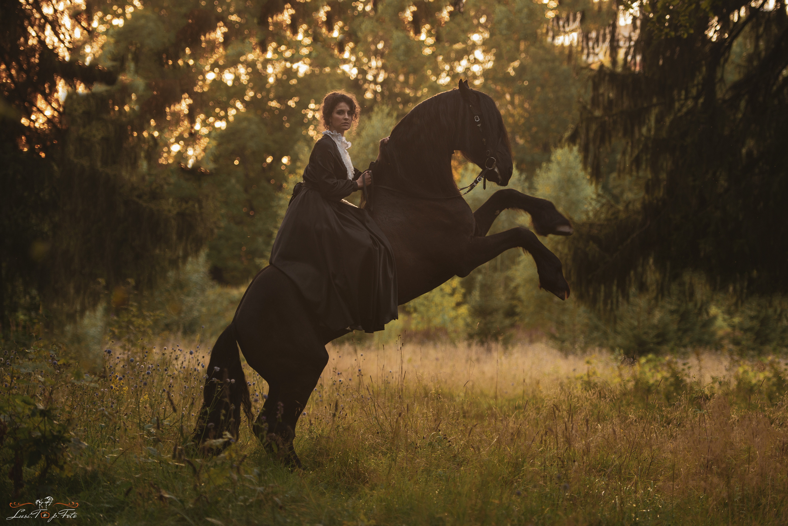 Конный и фотограф с животными в Твери Топталова Люся
