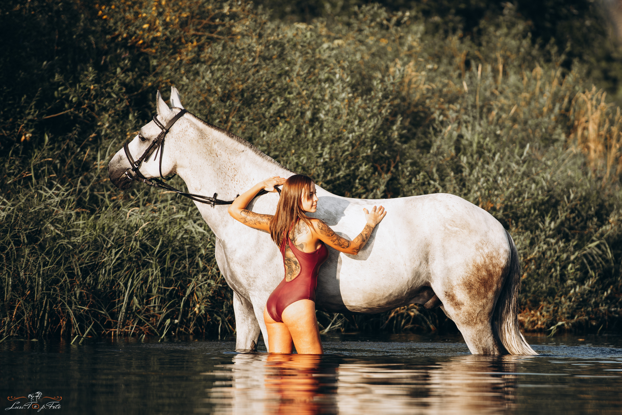 Конный и фотограф с животными в Твери Топталова Люся