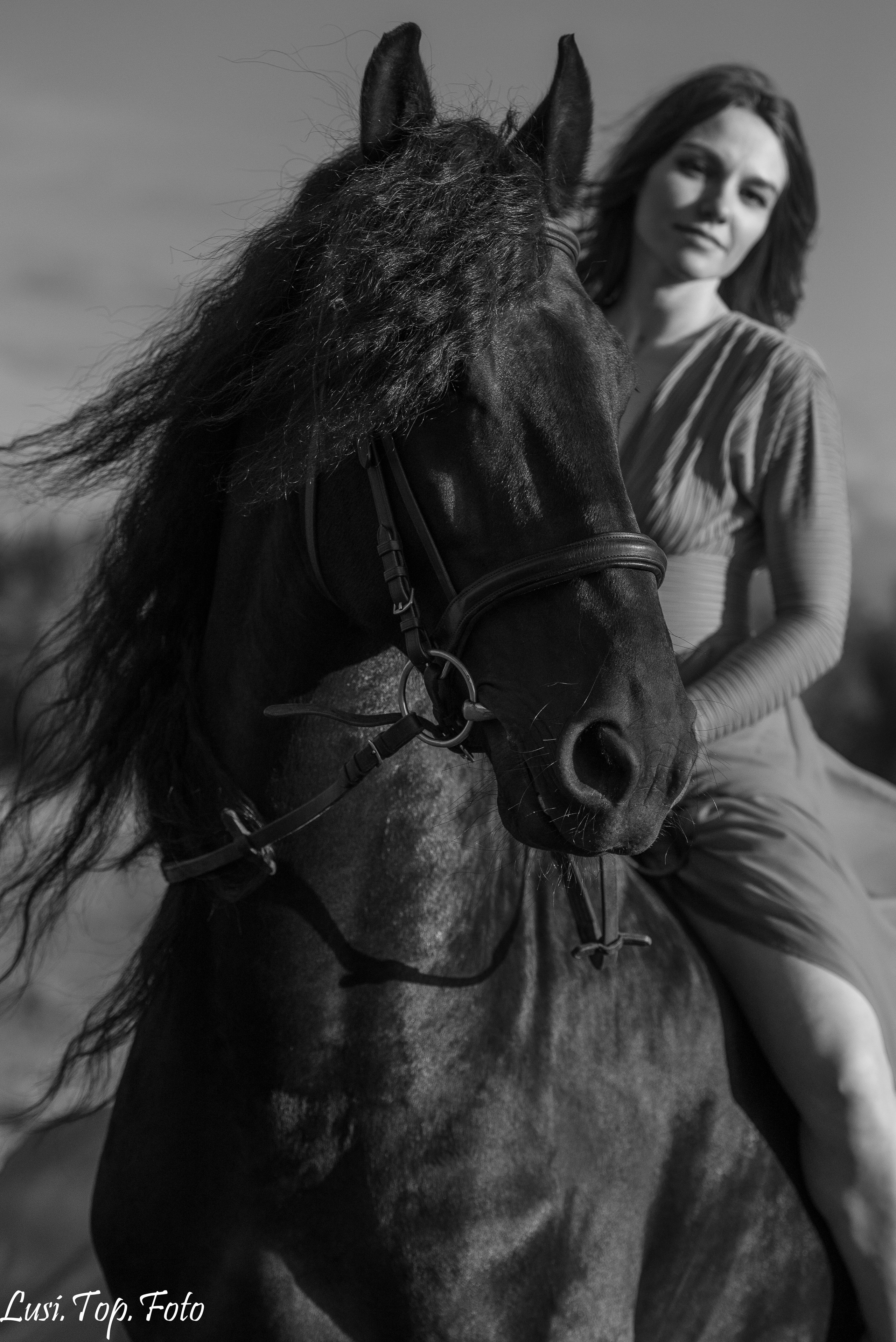 Фотосессии с лошадьми. Конный и фотограф с животными в Твери Топталова Люся