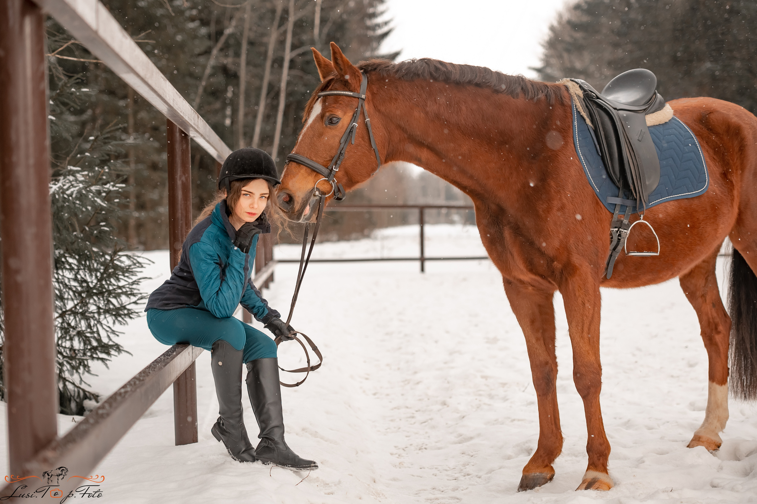 Конный и фотограф с животными в Твери Топталова Люся
