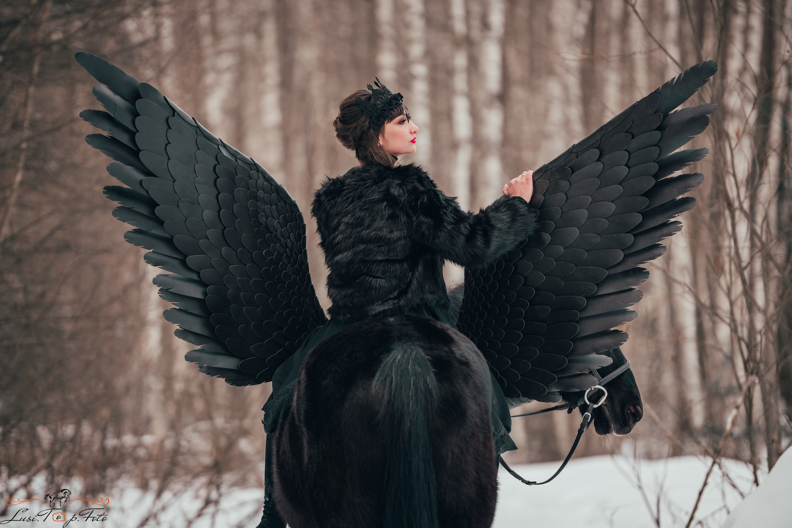 Конный и фотограф с животными в Твери Топталова Люся