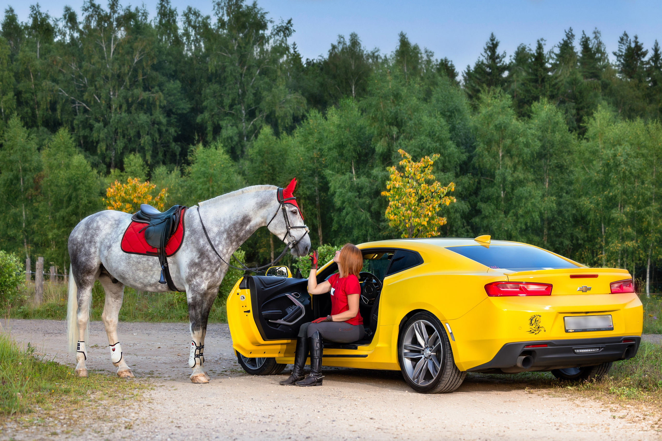 Конные фотосессии. Mrs.Aquarelia Конный фотограф Марианна Леонтьева