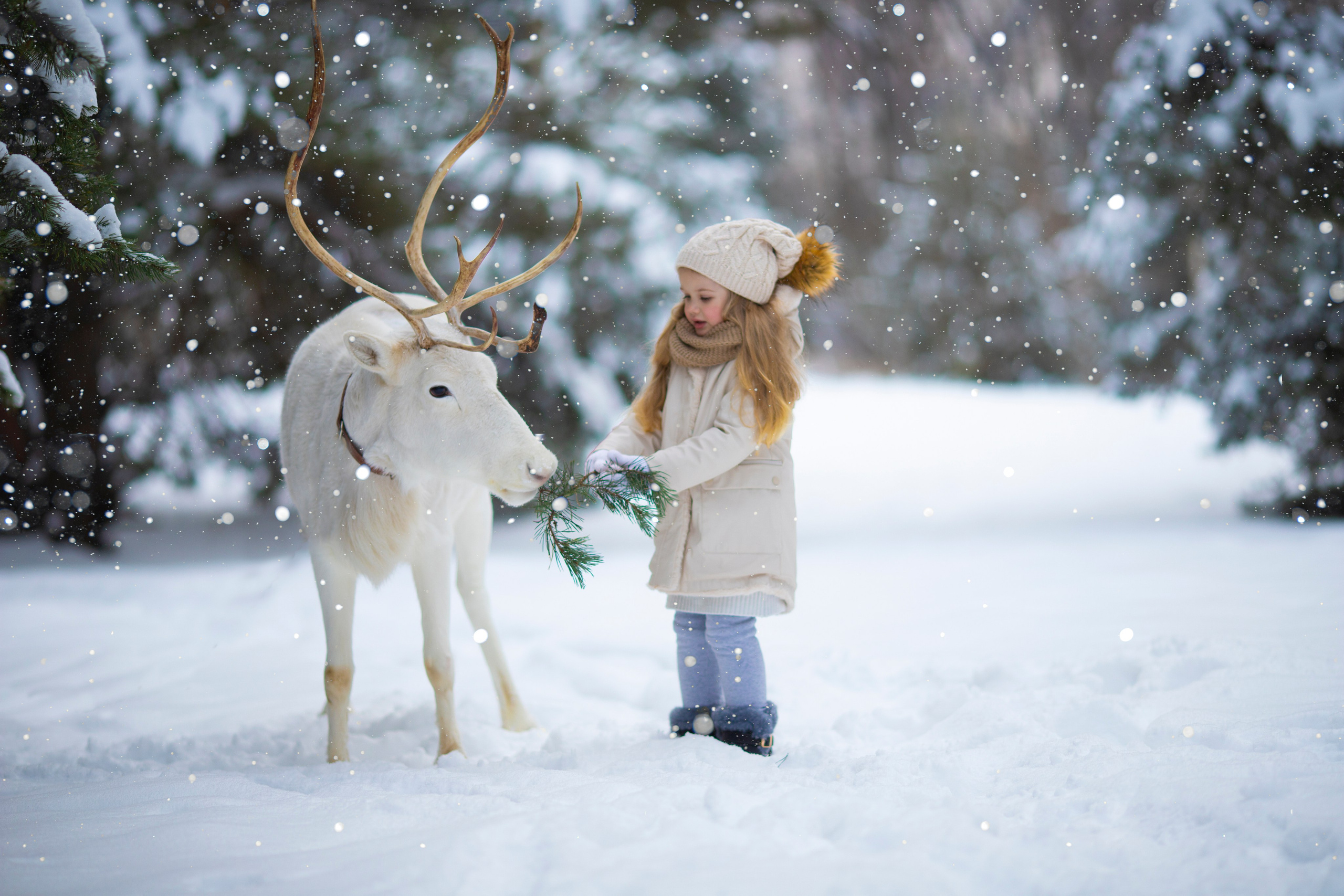 Зимние фотосессии с животными на улице. Фотопроекты, фотодни и фотосессии в Москве