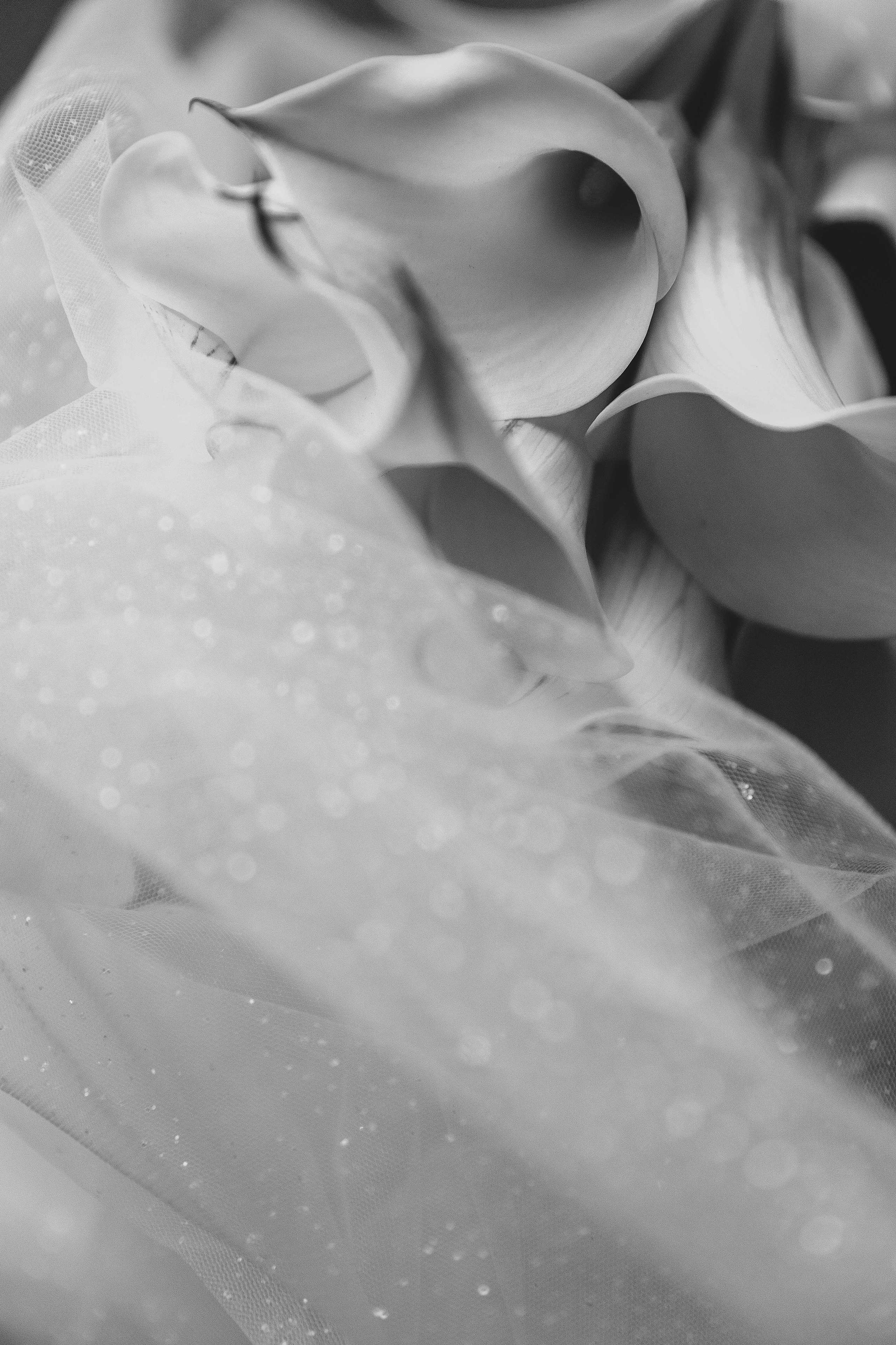 Виктория и Антон. Свадебный и семейный фотограф  во Владивостоке Ольга Украинец