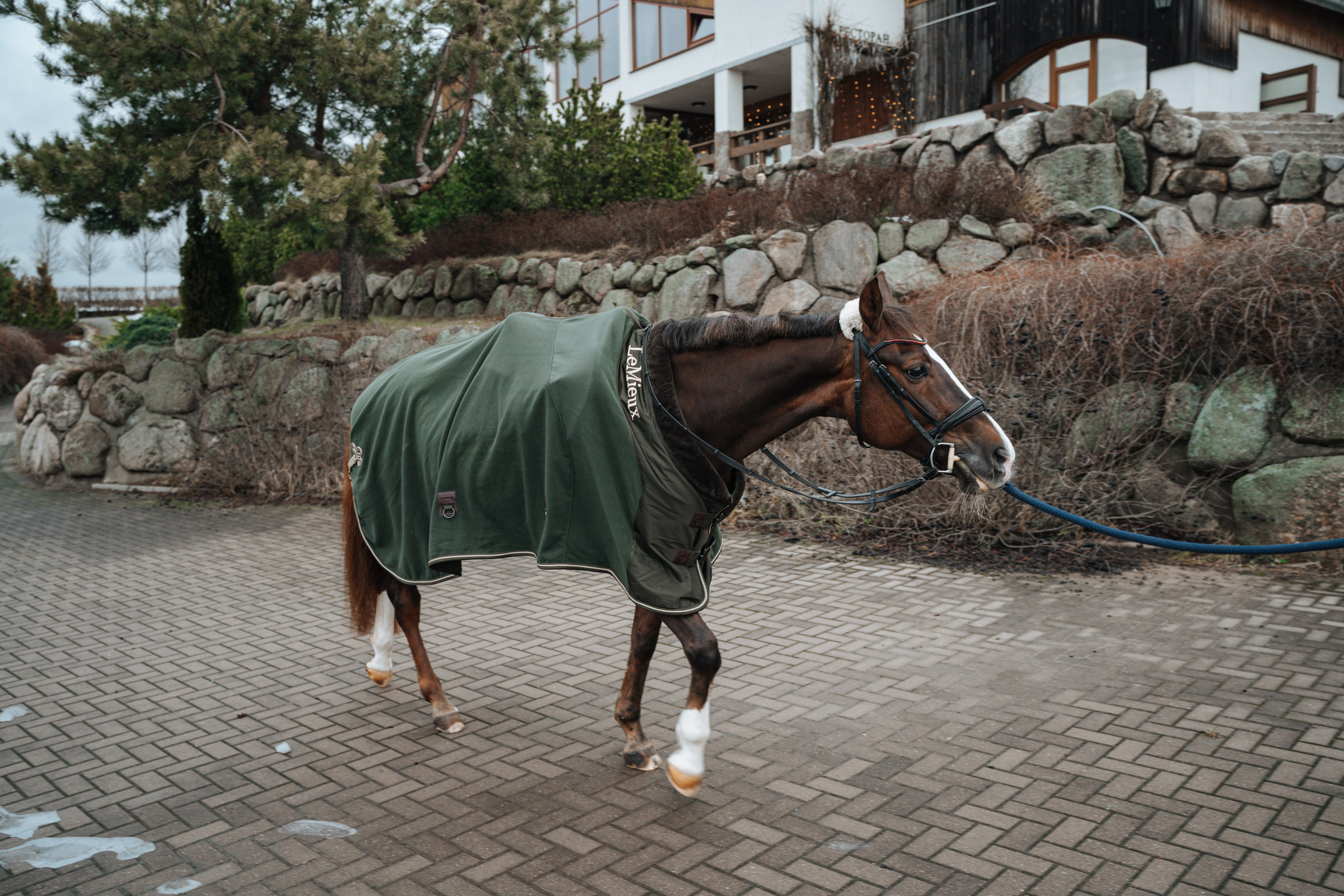 Евгения. Конный клуб. Портретный фотограф в Санкт-Петербурге Дмитриева Наталия