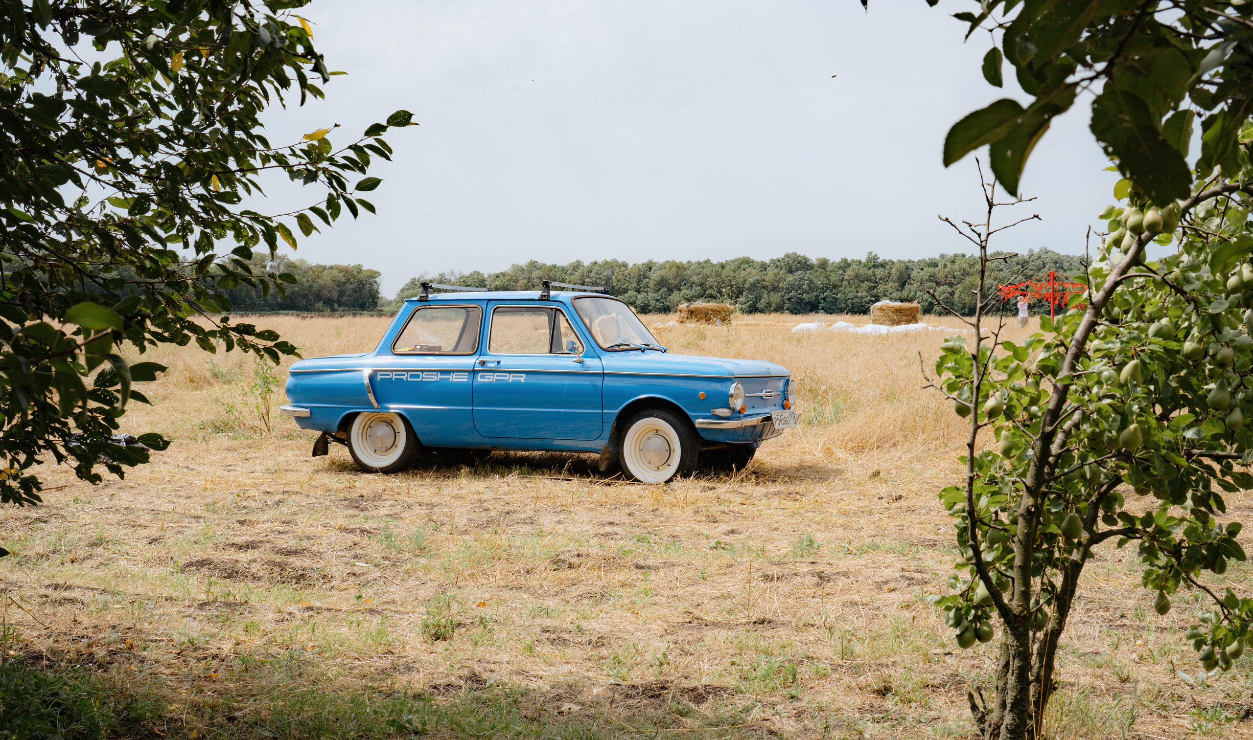 ASS FAMILY | СОН В ДЕРЕВНЕ | АВИАРЕЖИМ 8.0