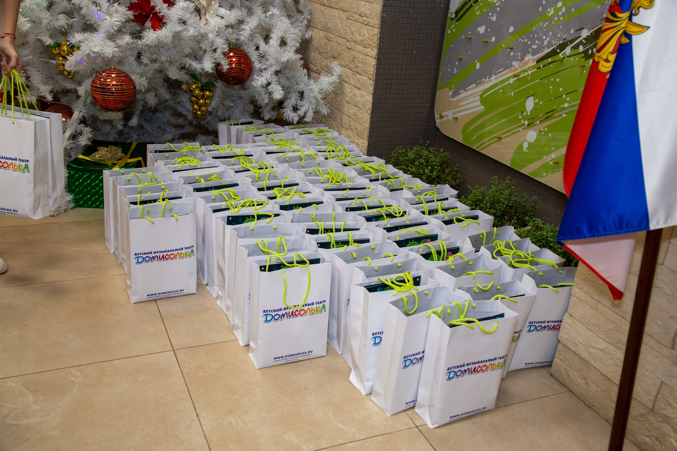 Репортажная съёмка для Домисольки на новый год. «Студия DRONAVT`s» — видеосъёмка и фотография г. Москва