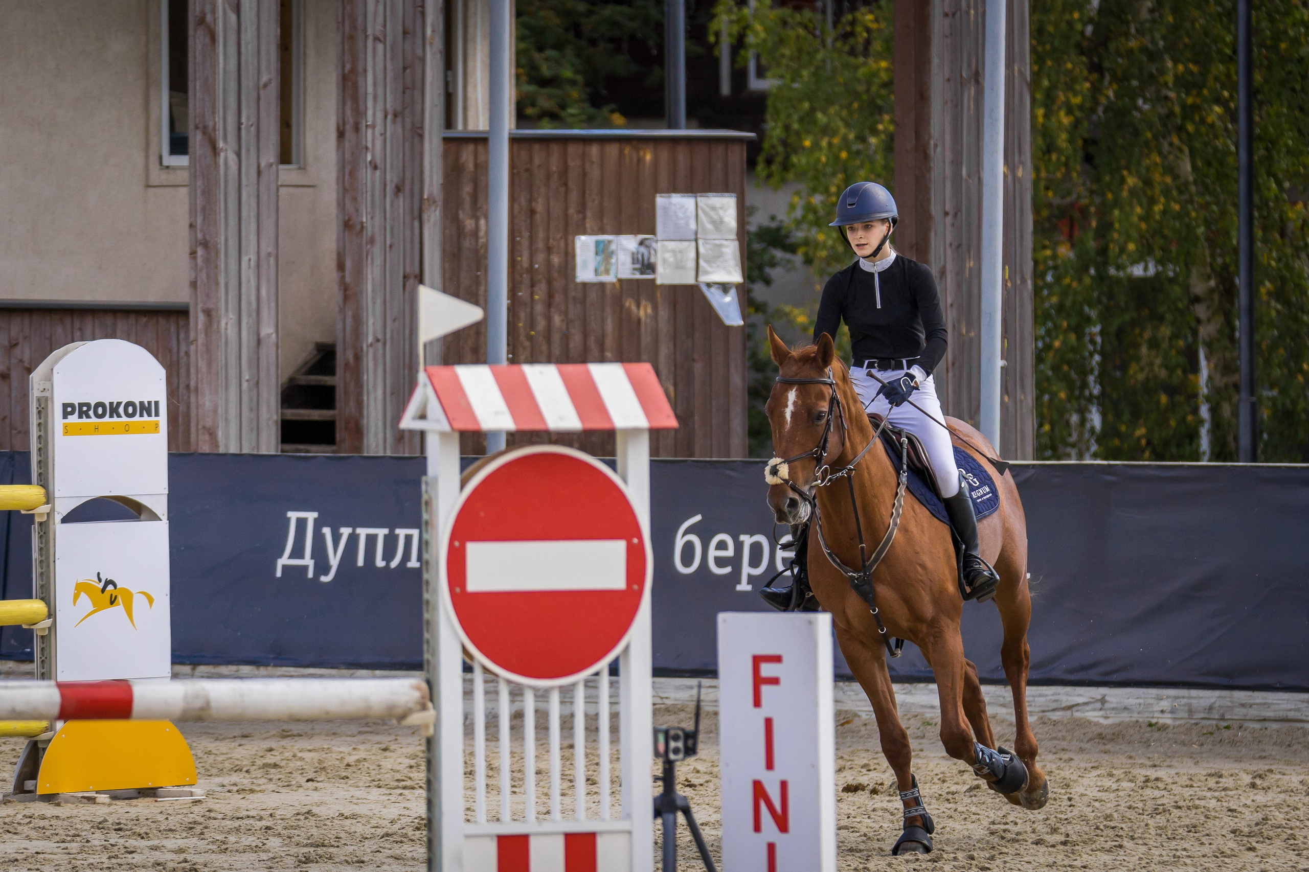 Конный спорт. Photomantis