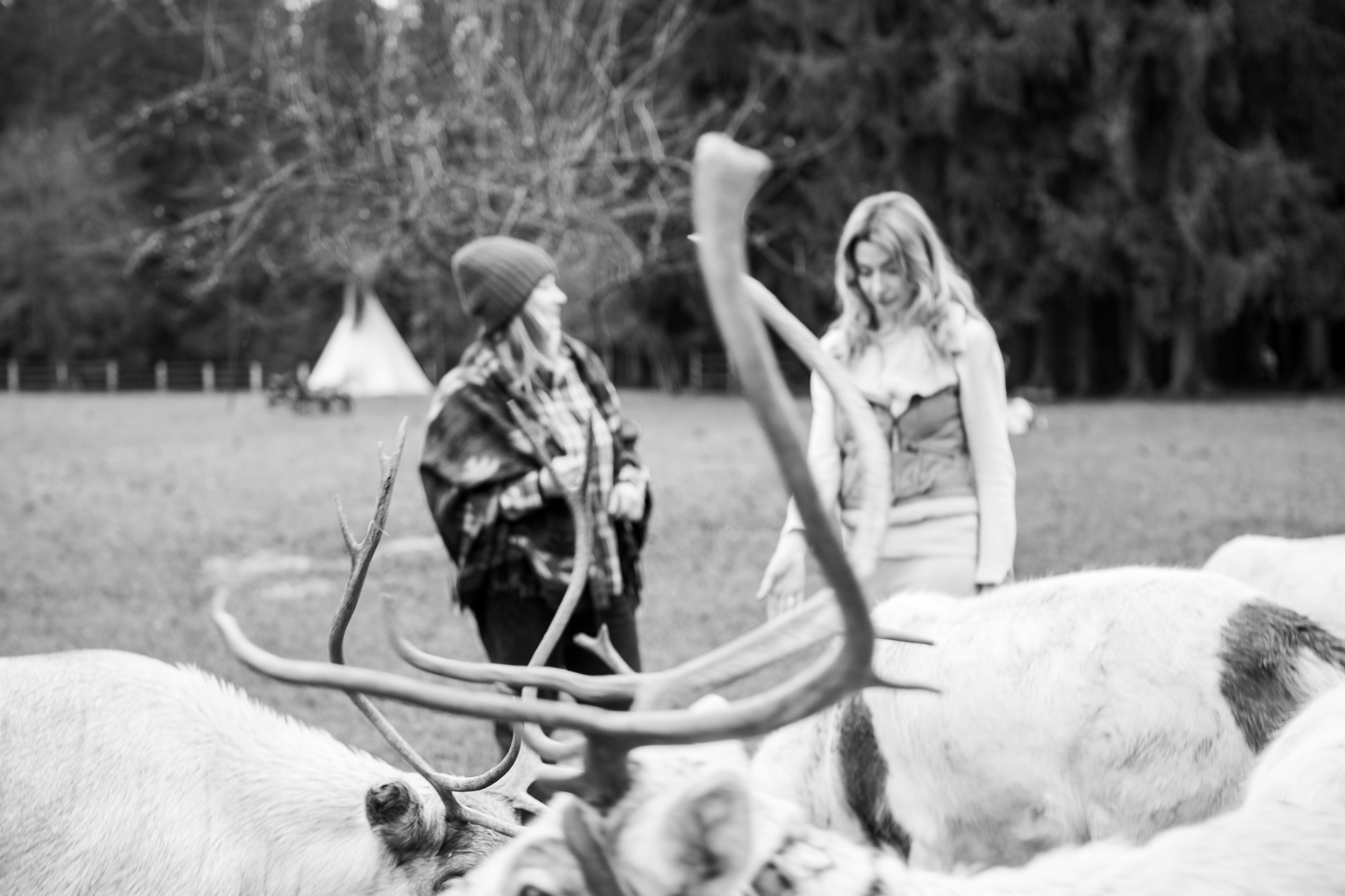 Экспресс с оленями. Свадебный и семейный фотограф Анастасия Багрец