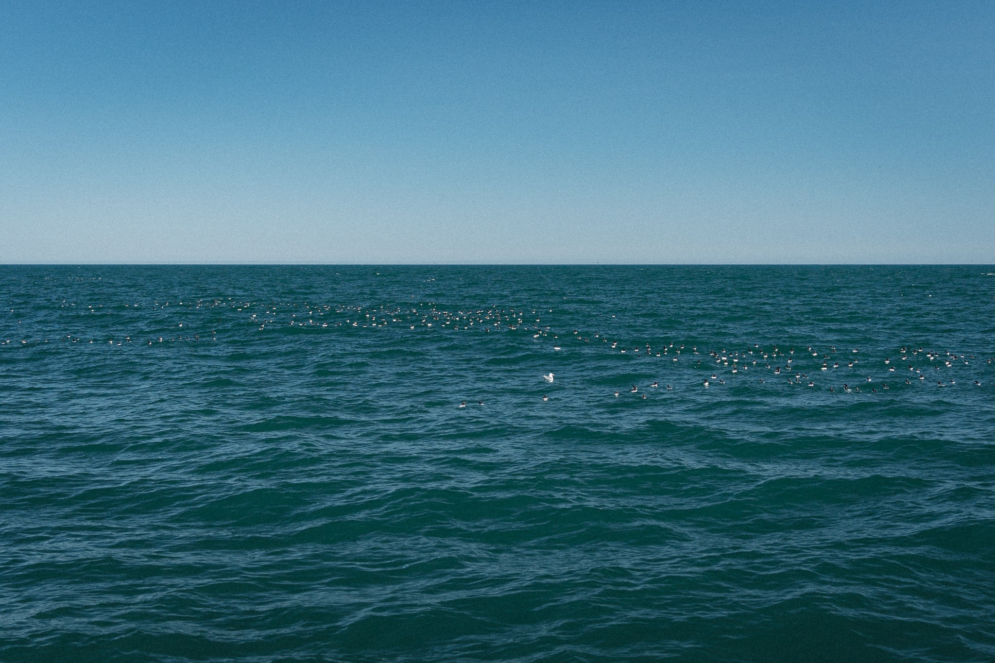 Кампейн для бренда «Hello Kamchatka». Фотограф Ди Садчиков