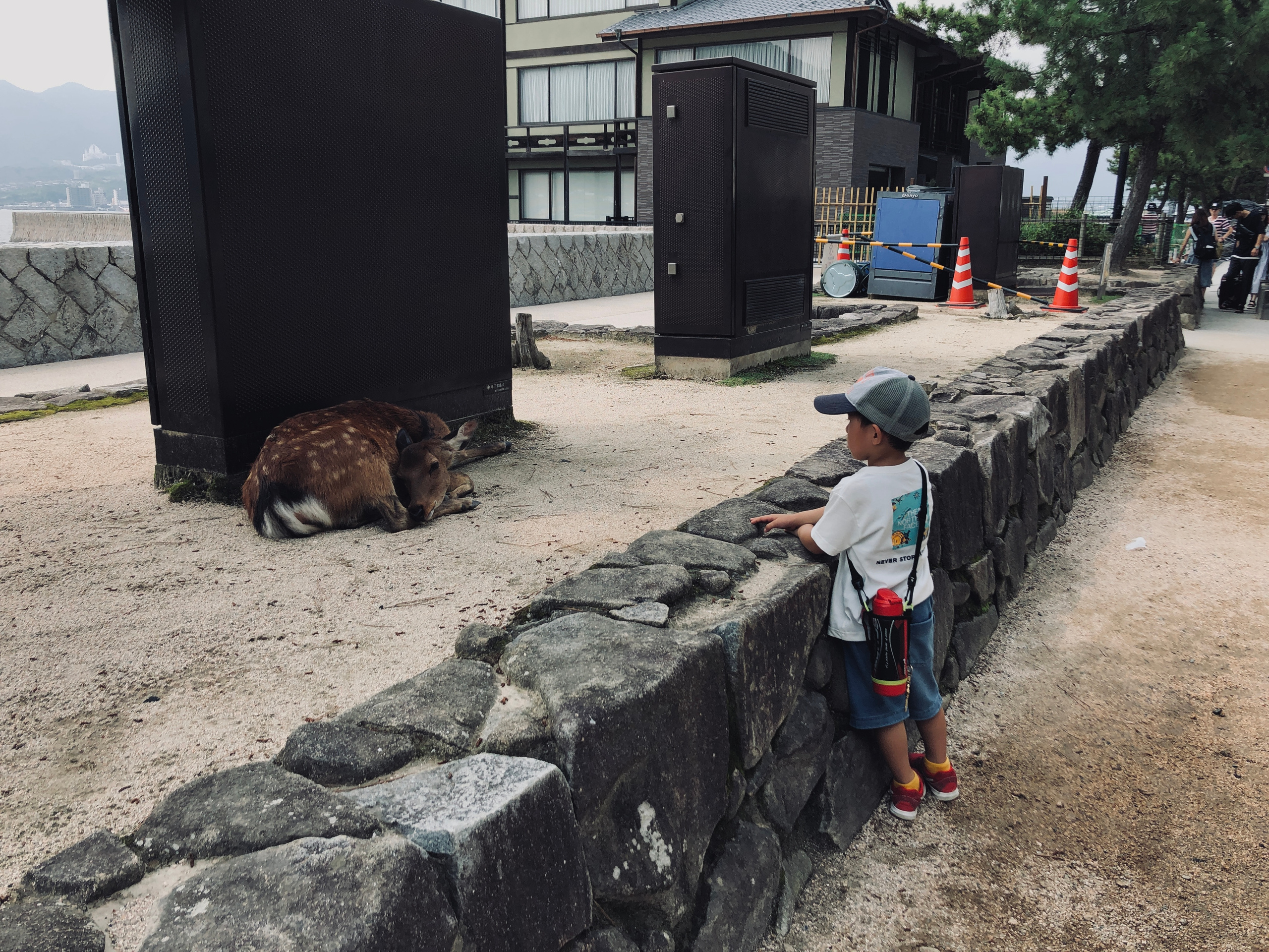 Itsukushima (厳島), Hiroshima Bay. Japan. 1/934s f/1.8 ISO20 	Model iPhone 8		28.07.2019 - 14:17:12 GMT+11	