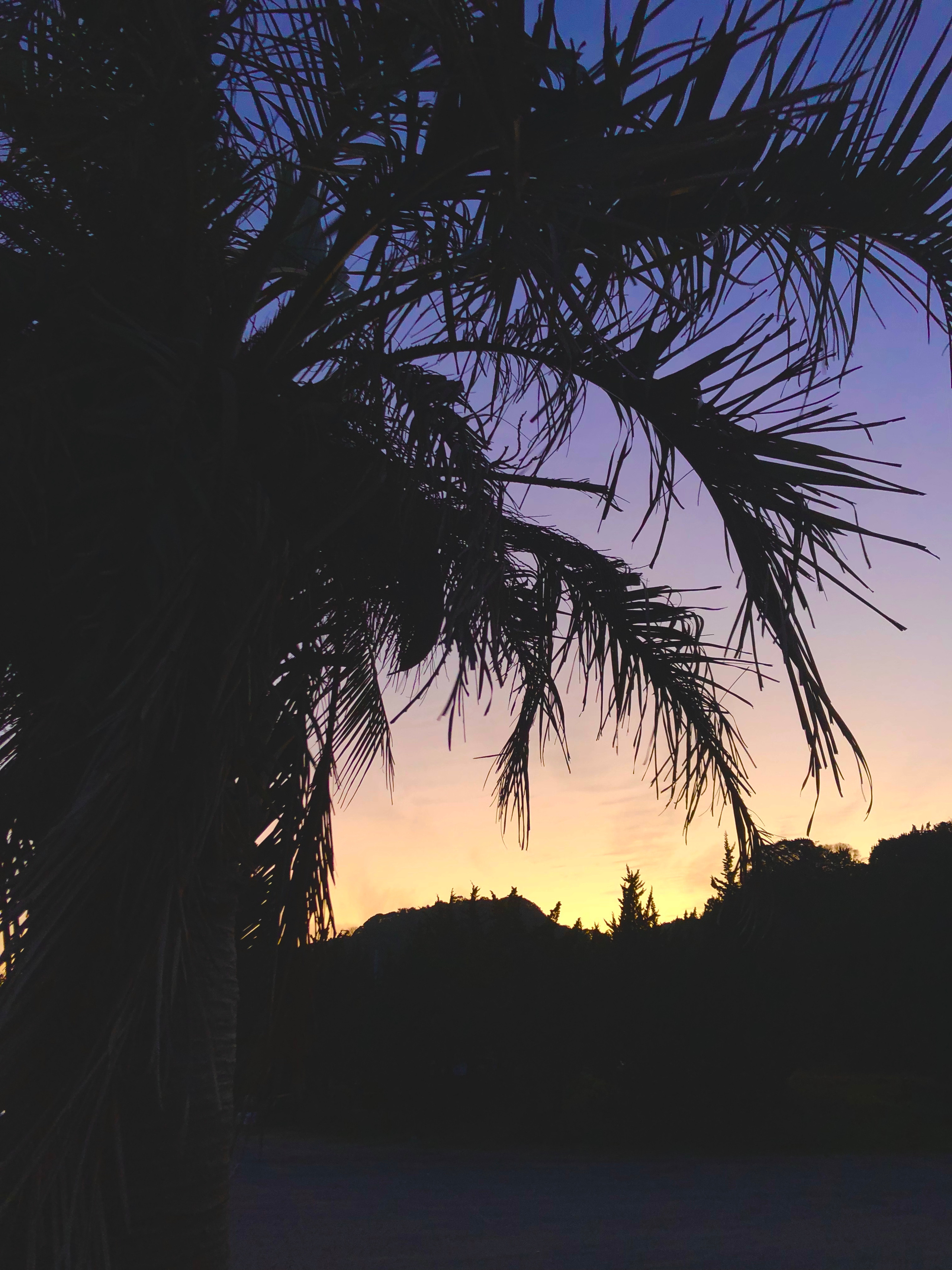 Izu Peninsula, Shizuoka Prefecture, Japan. December, 2018