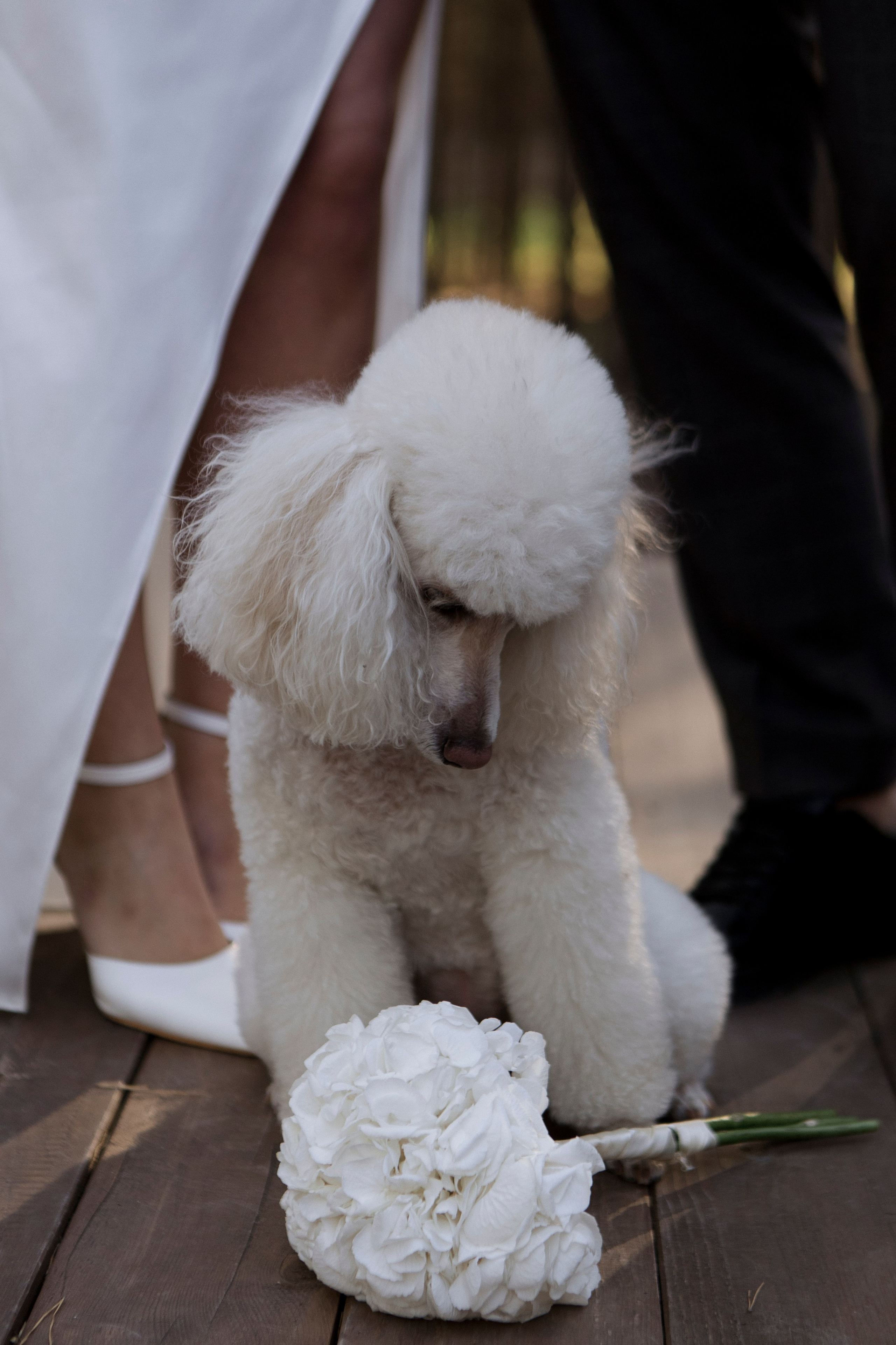 Лера & Андрей. Свадебный фотограф в Барнауле и Новосибирске Лия Варкентин