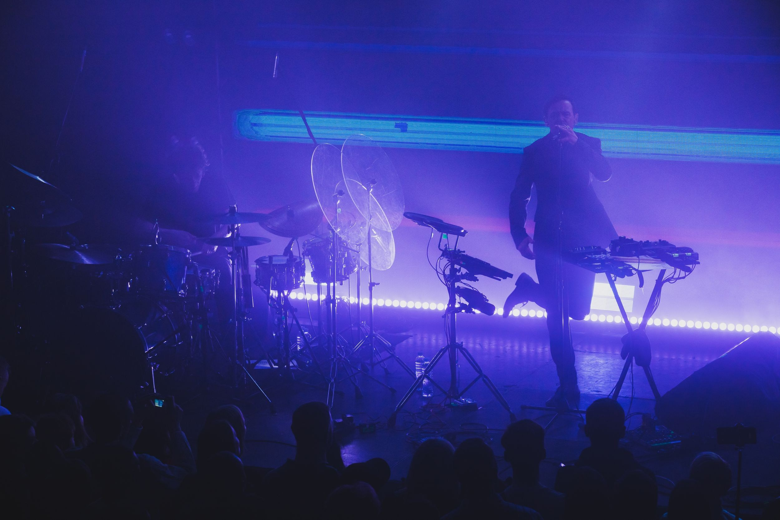 Дельфин. Репортажный фотограф Алексей Пирязев