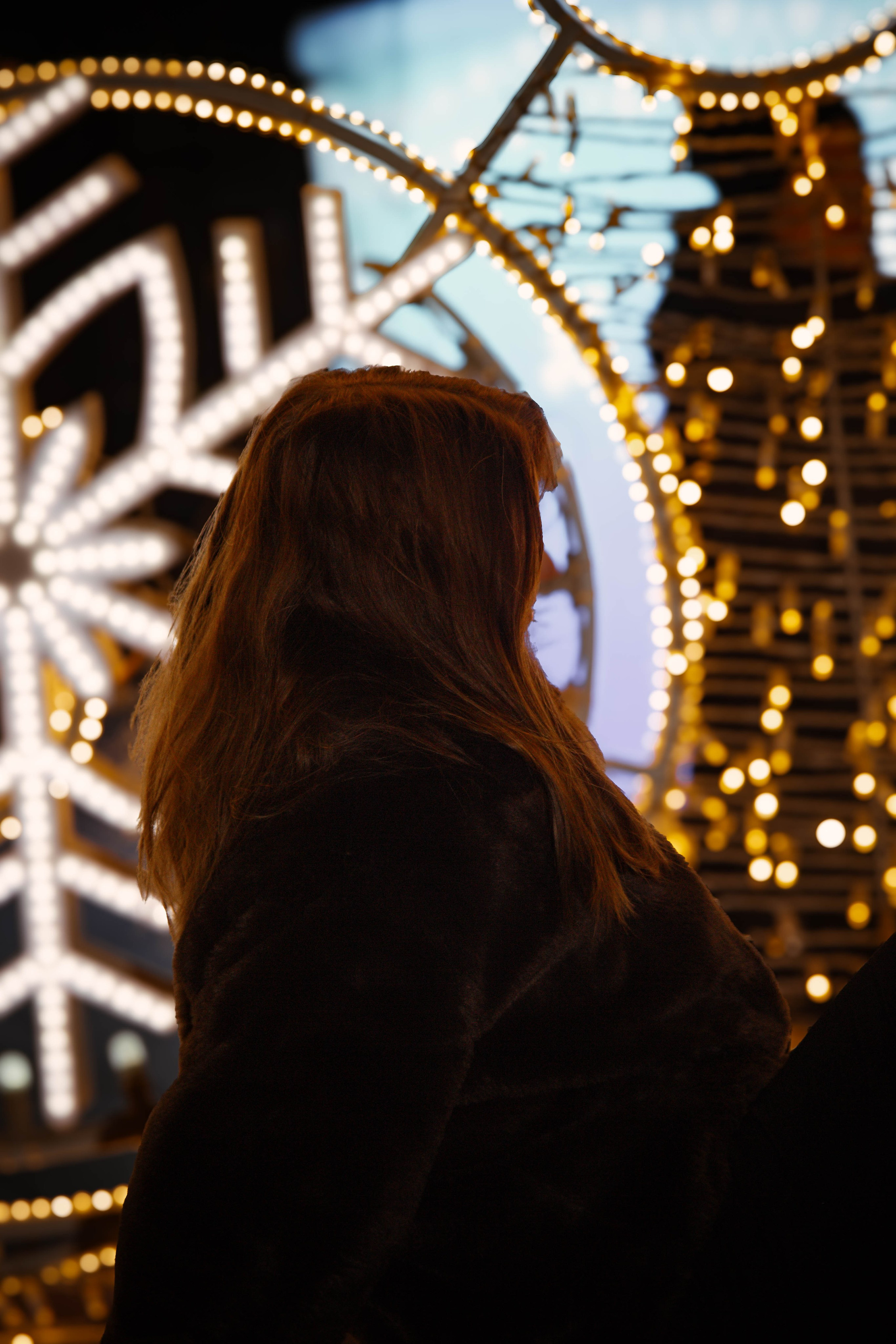 Новогодняя фотоссесия Екатерины. Ладно