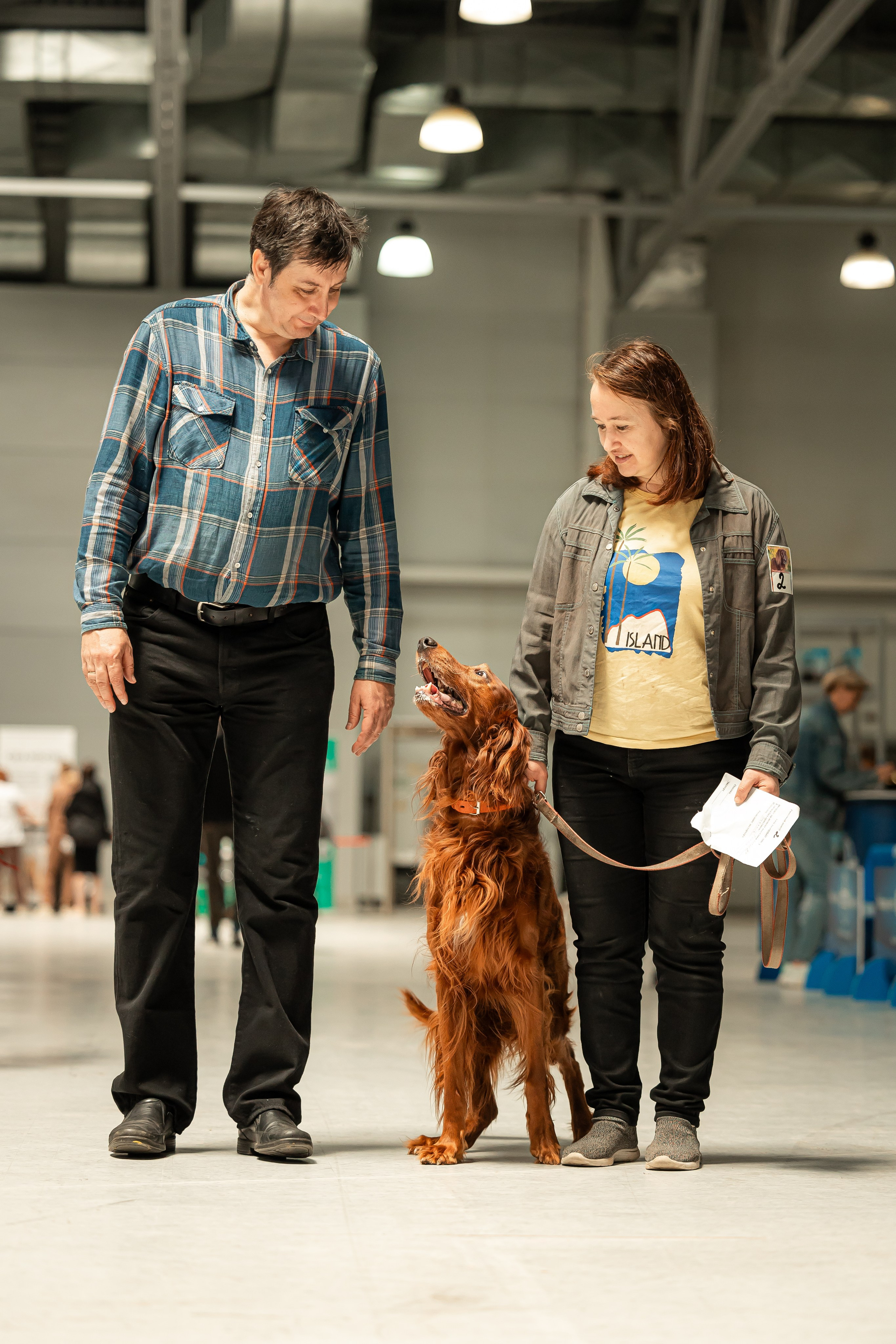 Выставка сеттеров 19.05.24