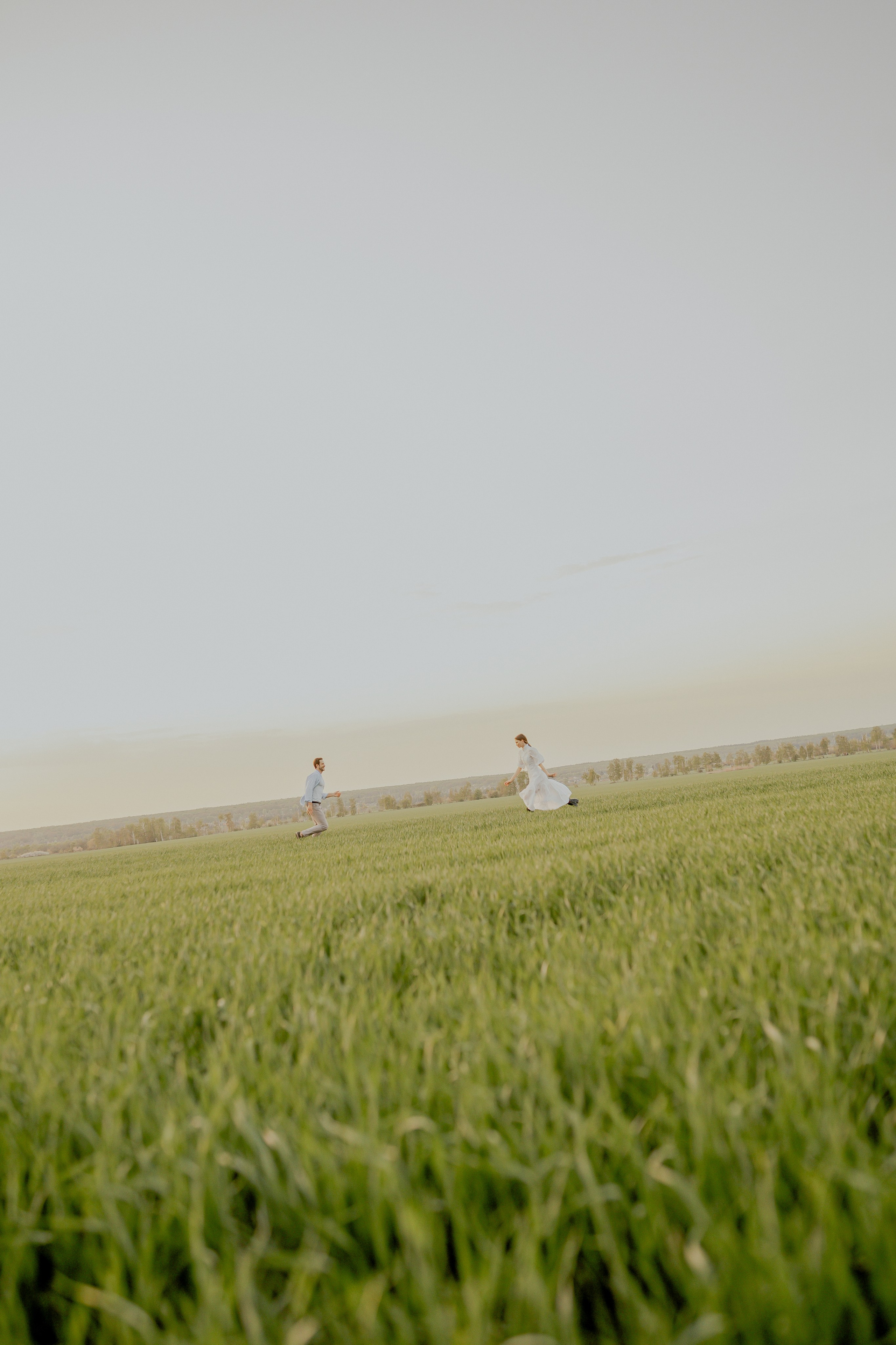 Поле. Фотограф Мария Зайчик