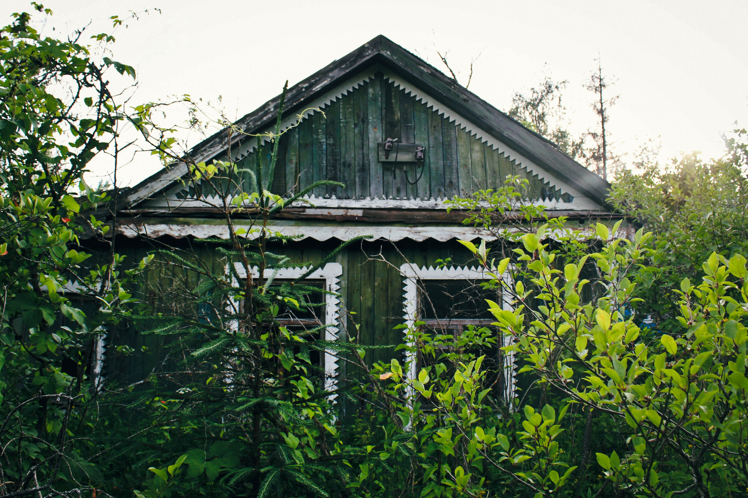 Дер. Александровка. Фотограф Ксения Монахова