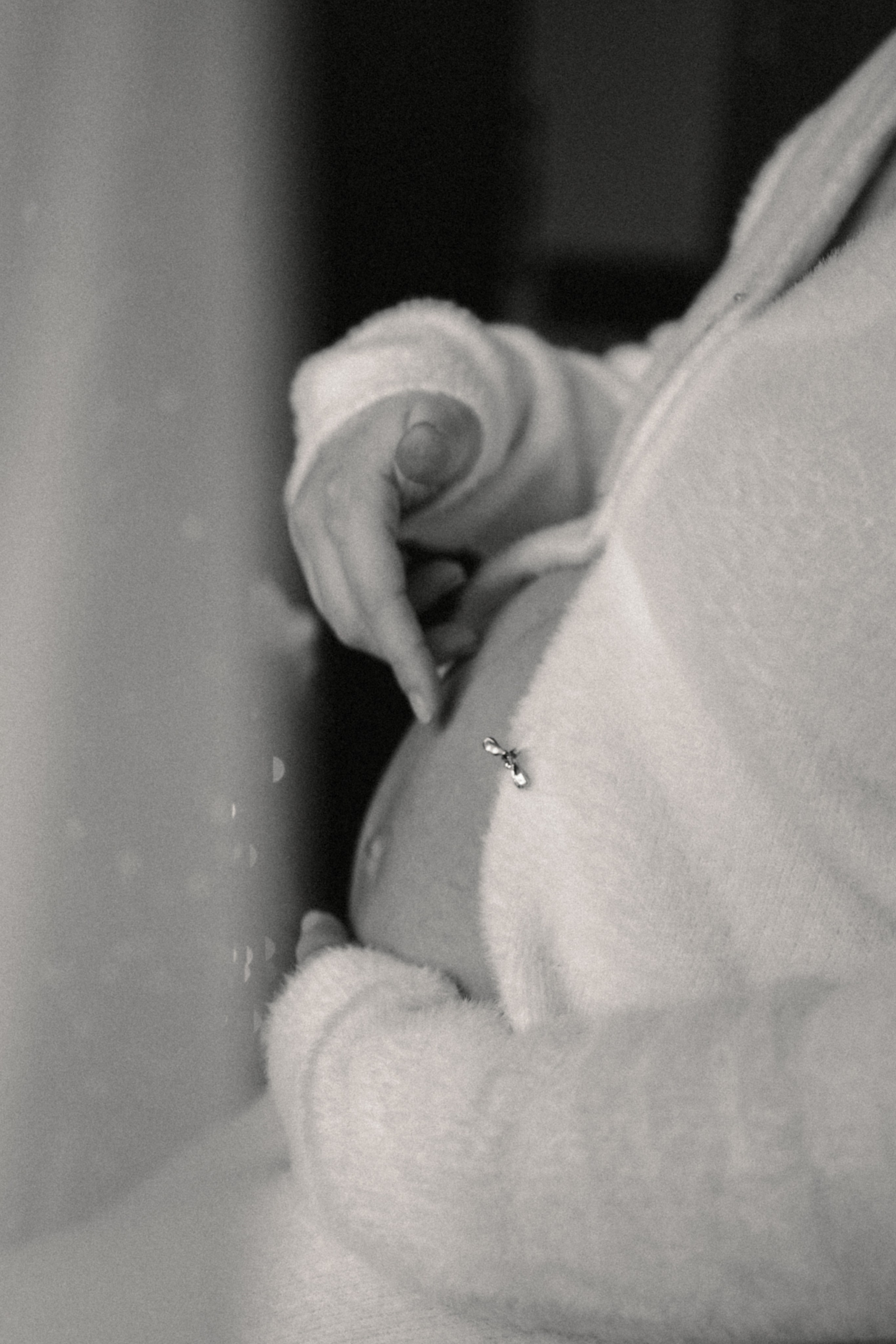 Pregnancy. Семейный фотограф Ариадна Мачульская | г. Тюмень