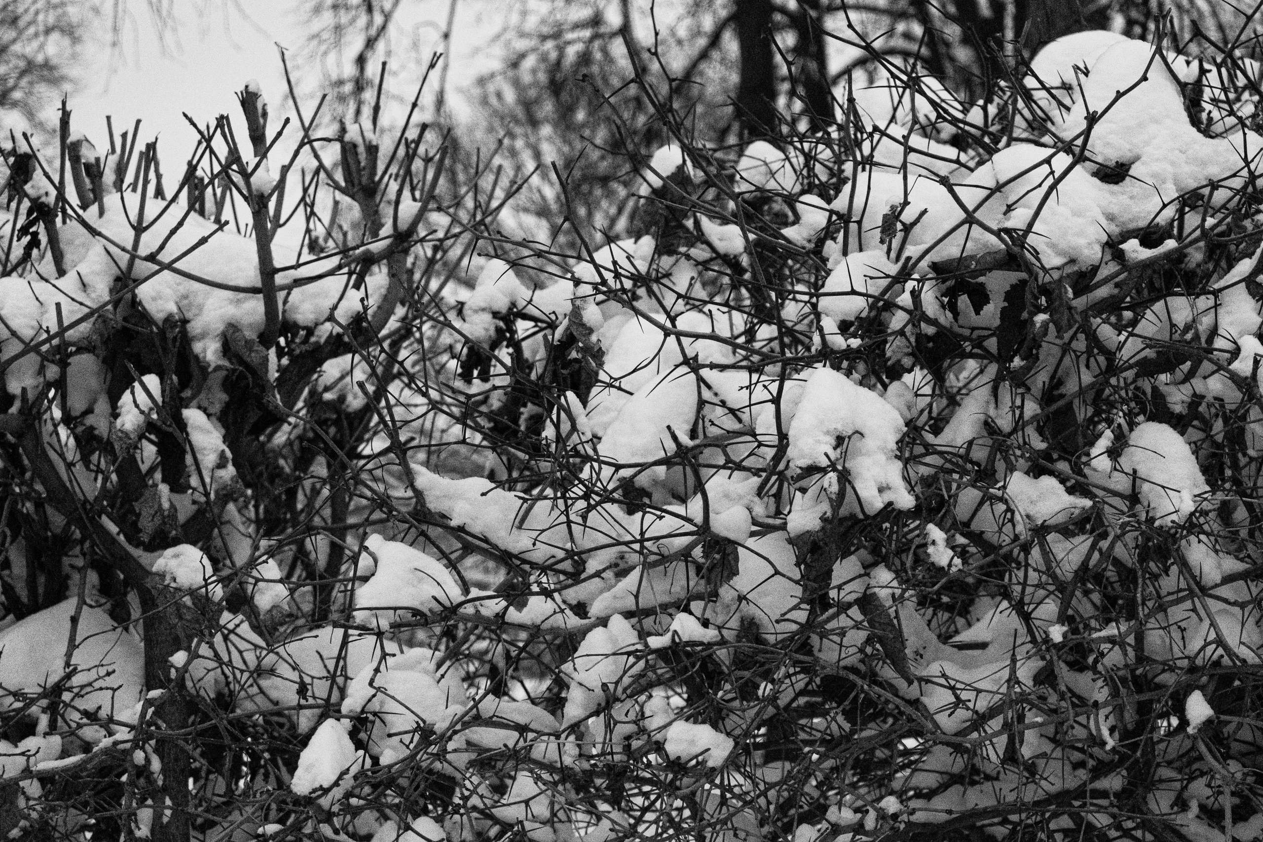 МГУ. Портретный и архитектурный фотограф в Москве и Санкт-Петербурге