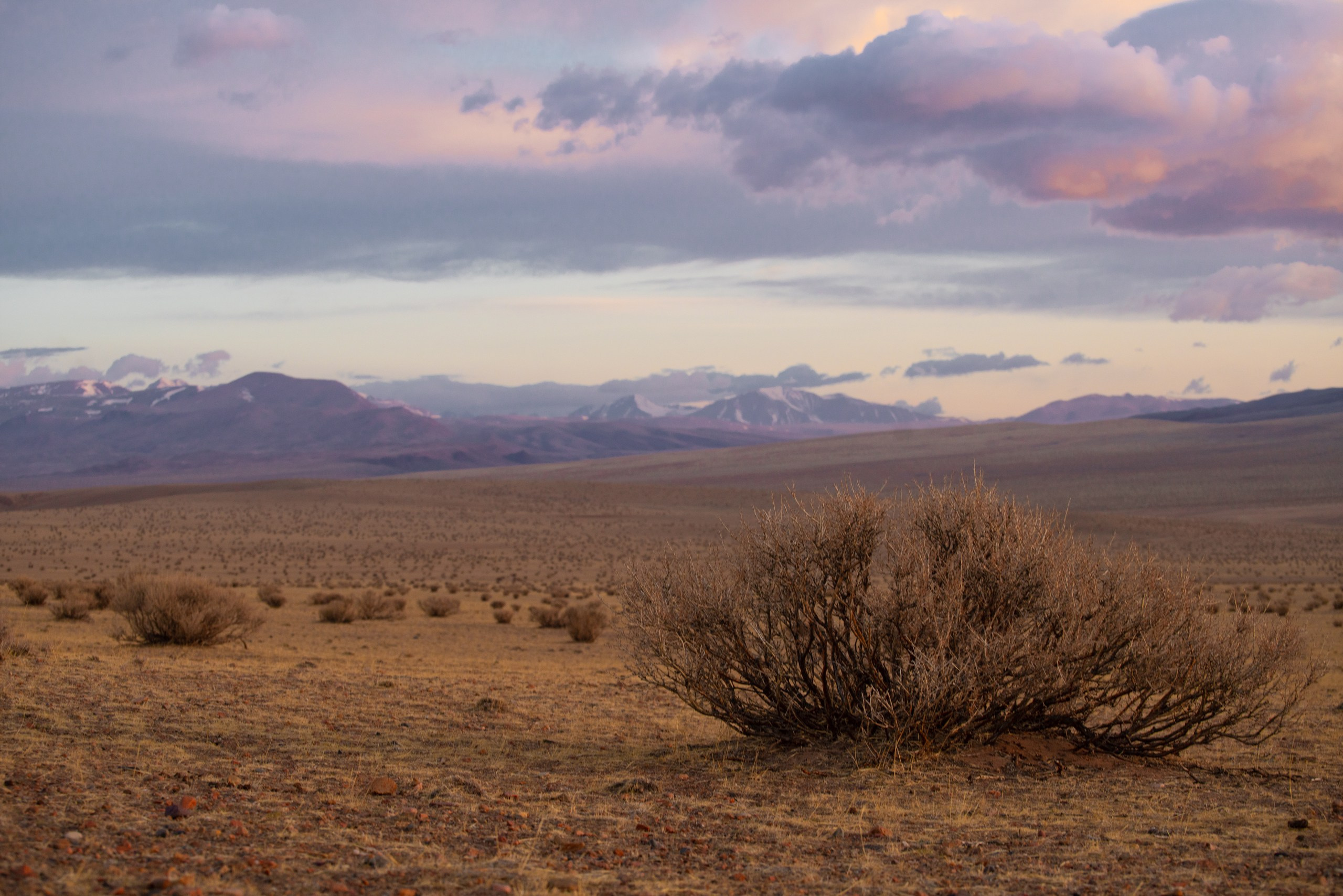 Монголия. Фотограф в Красноярске Нерозя Александр. Пейзаж, природа, портрет